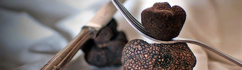 Lire la suite à propos de l’article Escapade aux pays de la Truffe…