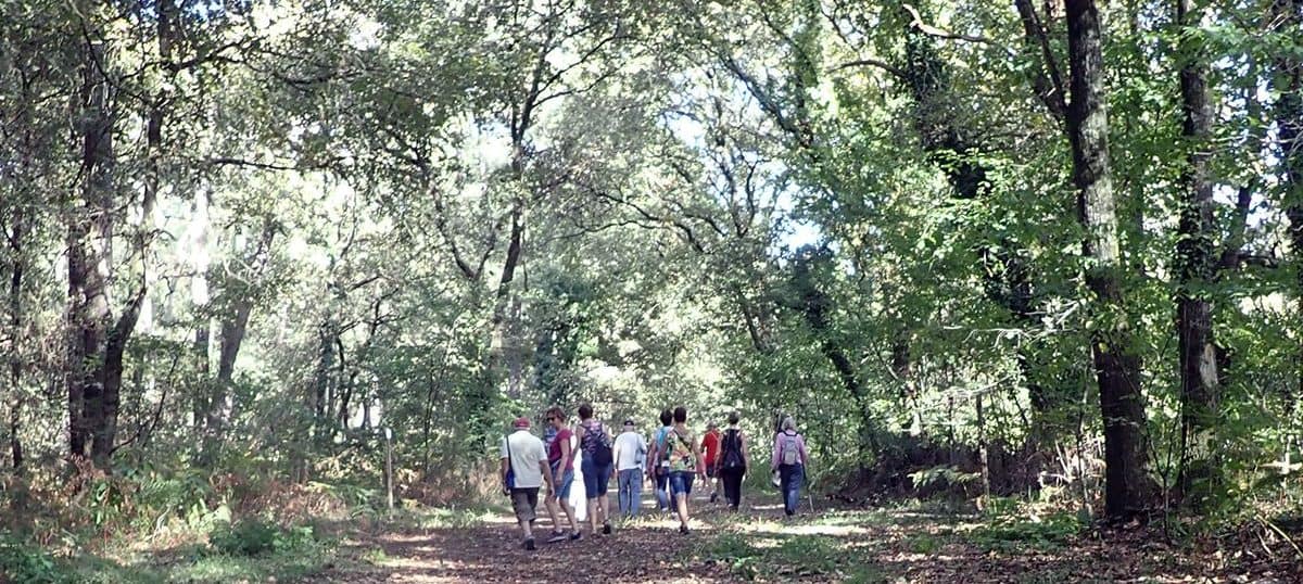 Lire la suite à propos de l’article Marche du 12 Oct 23 – Le Taillan Médoc