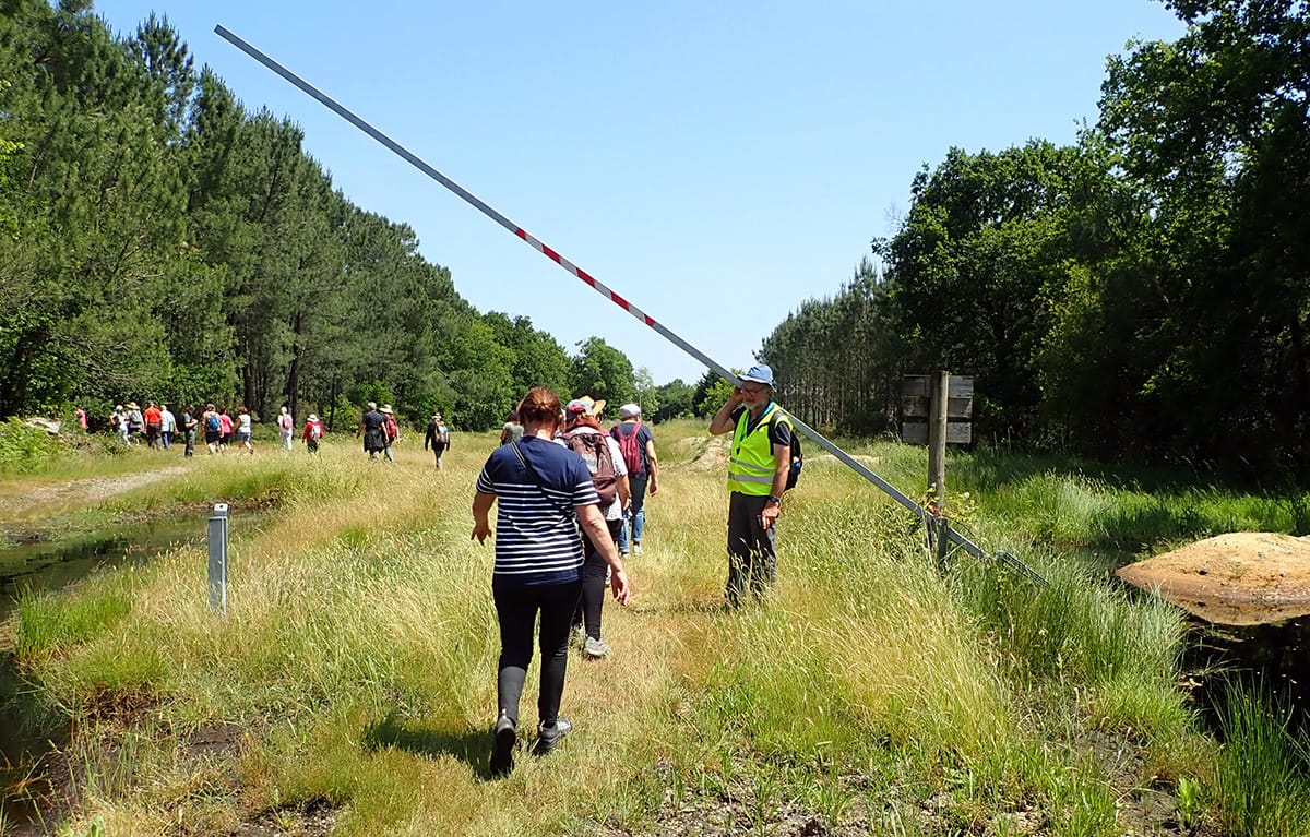 Lire la suite à propos de l’article Marche d&rsquo;Entretien du 6 juin – St Aubin de Médoc – Boucles des Landes.