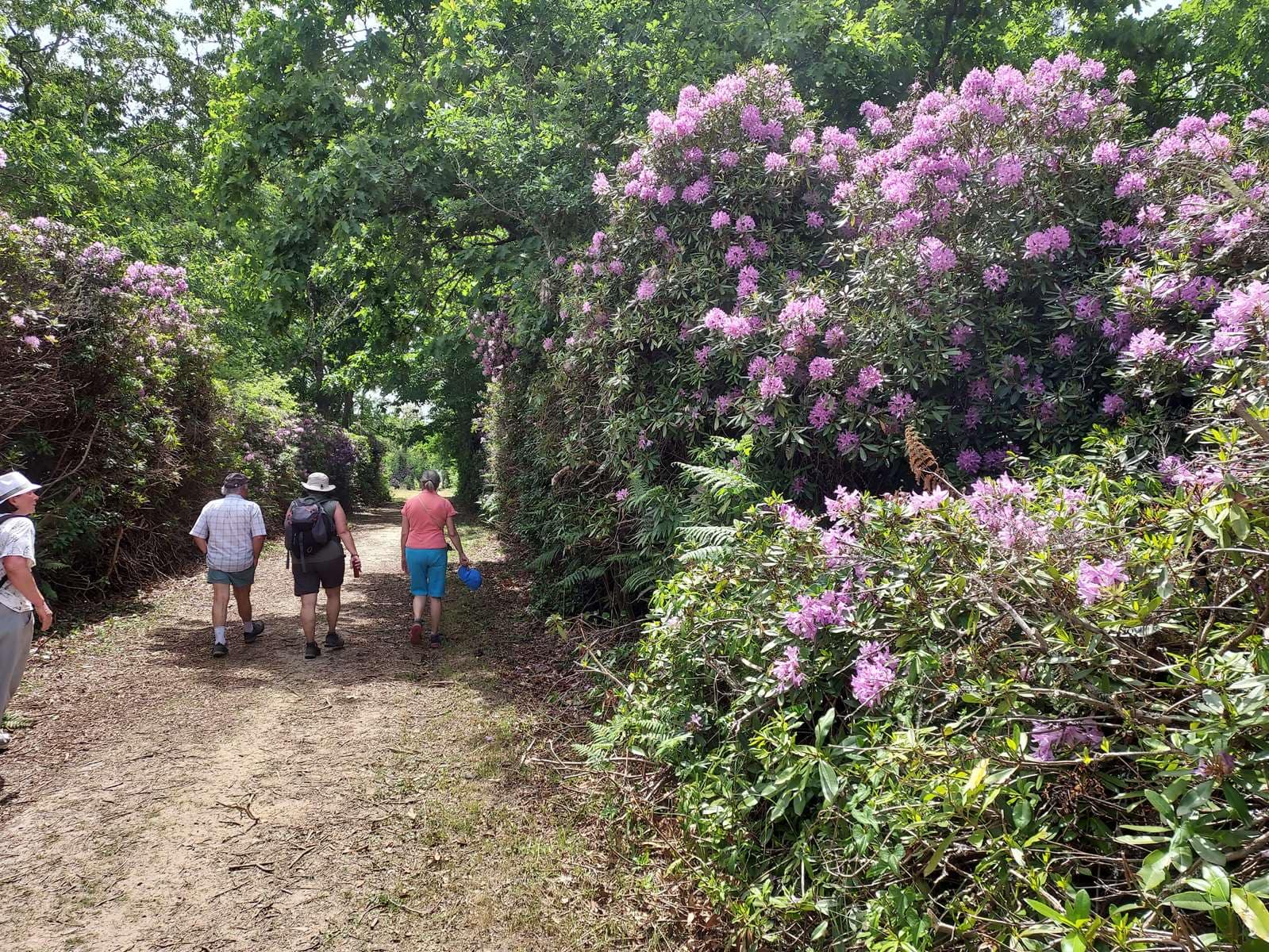 Lire la suite à propos de l’article Retour sur la « Marche à la journée » du Samedi 21 Mai