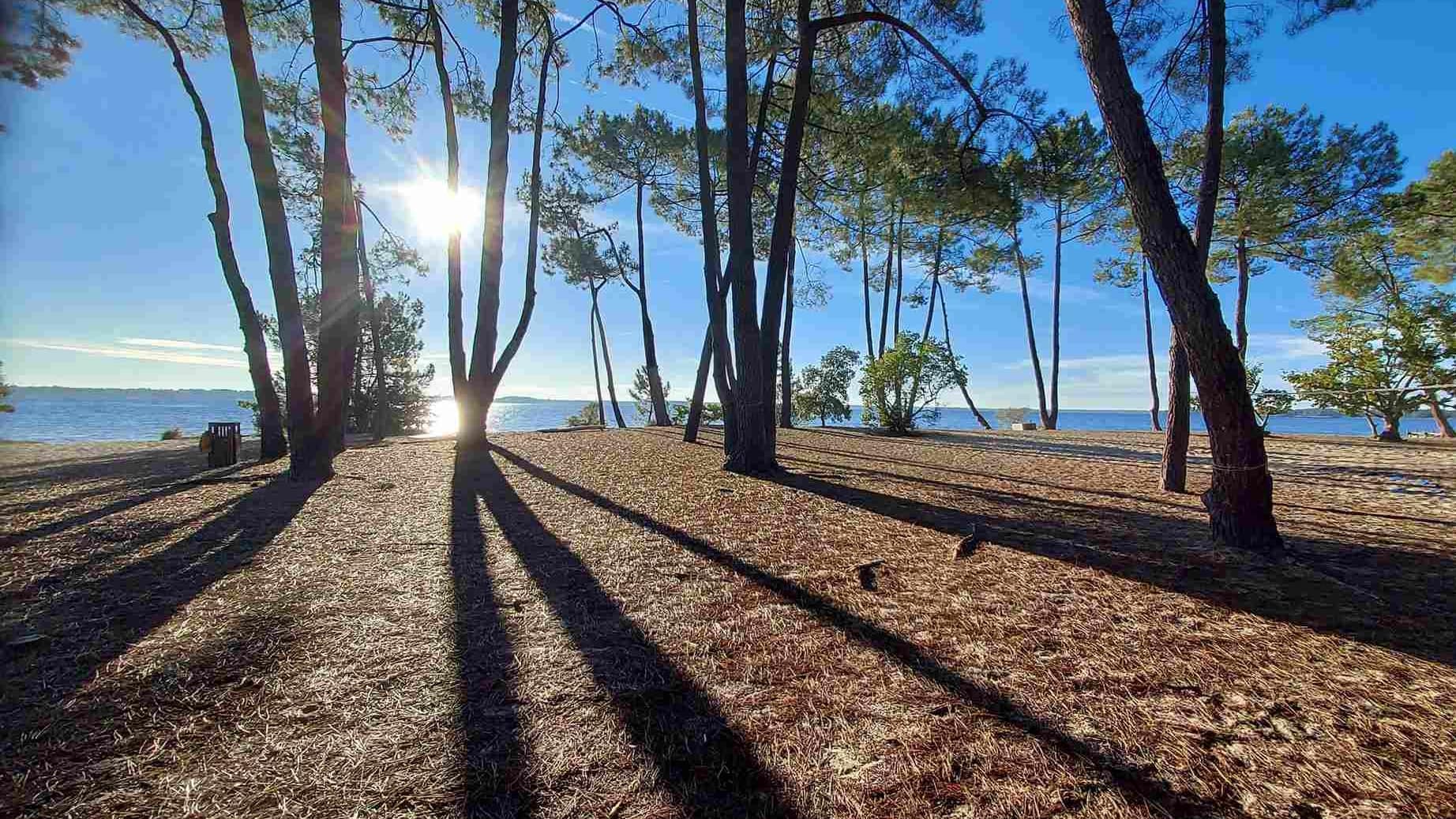 Lire la suite à propos de l’article Marche à la journée – Lac de Lacanau / Longarisse / Le Mouchic – Oct 24