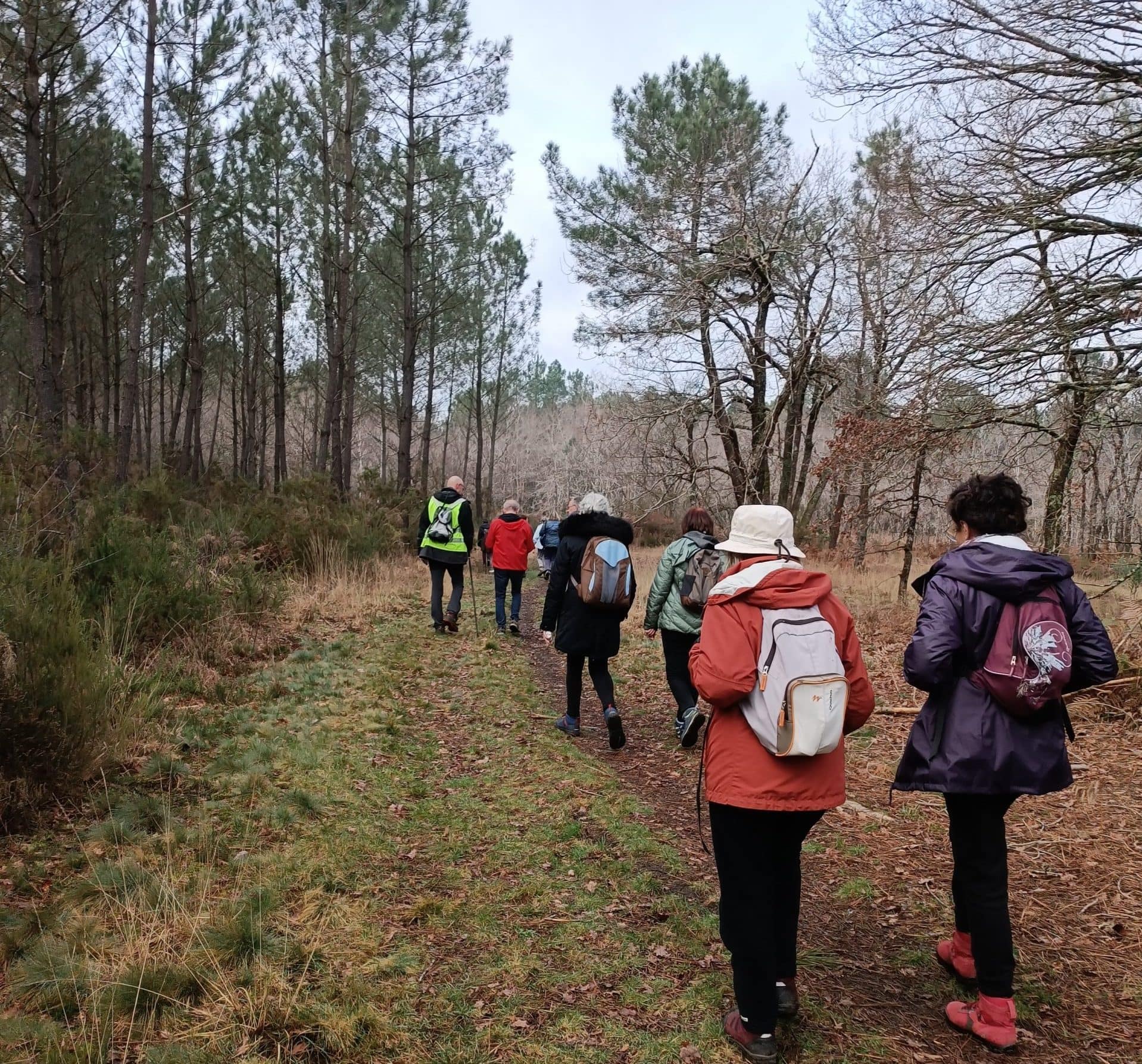Lire la suite à propos de l’article Marche du 1 Fév. 2024 – St Aubin de Médoc – la lande