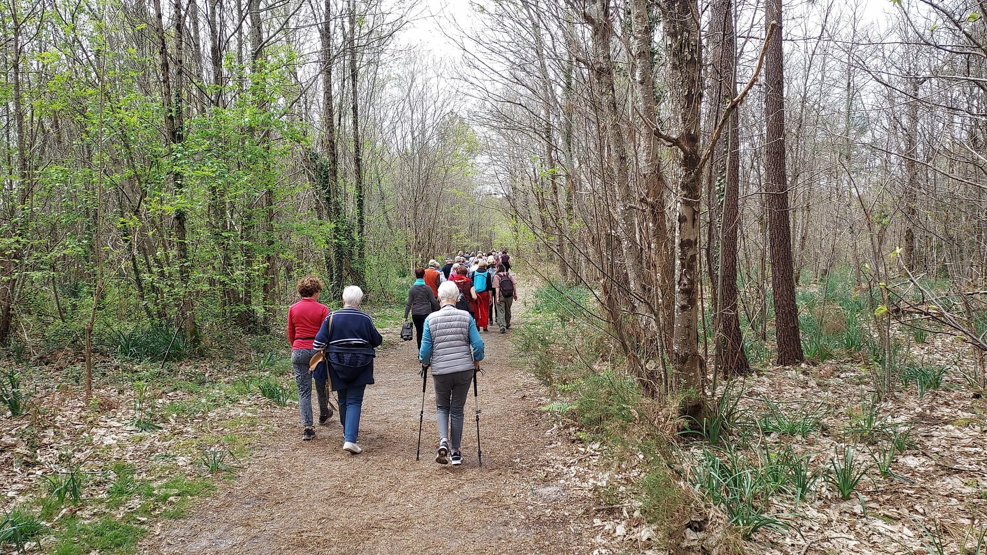 Lire la suite à propos de l’article Marche du 11 Avril 24 – Forêt du Taillan