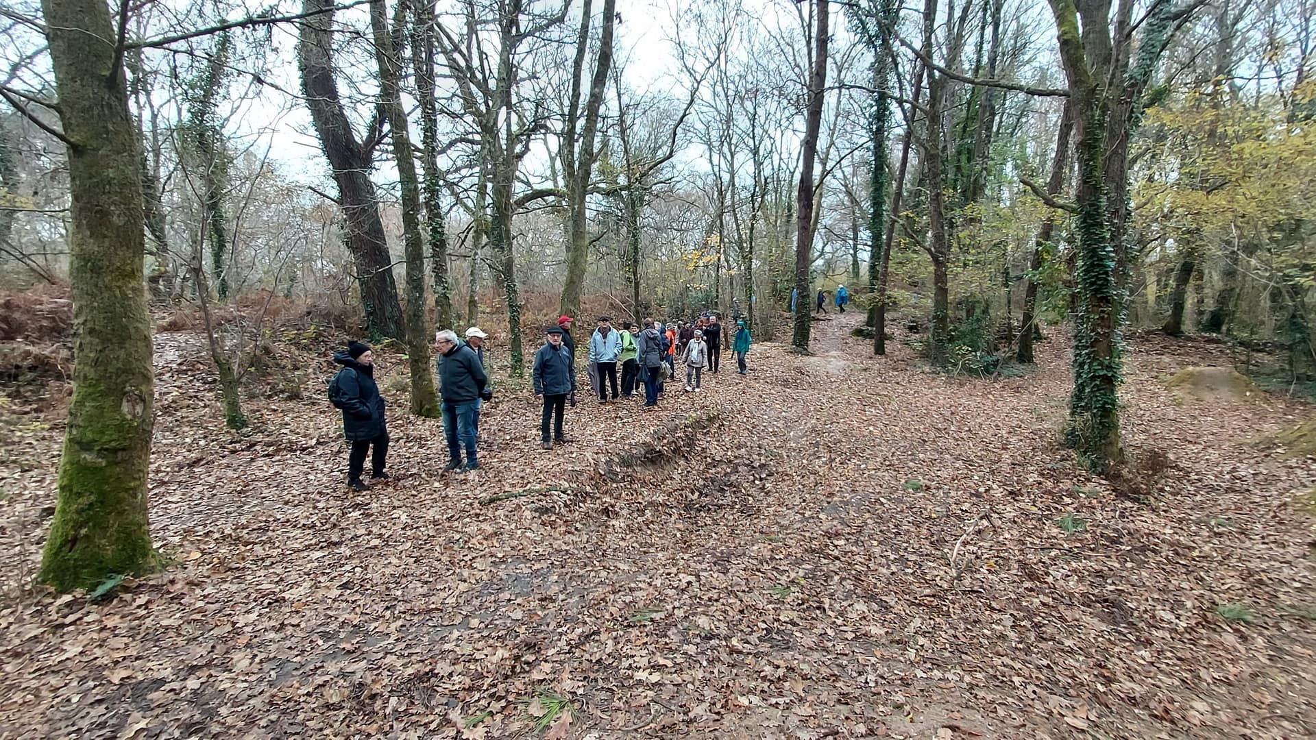 Lire la suite à propos de l’article Du Parc du Thil au Parc des Jalles.  5 Dec. 24