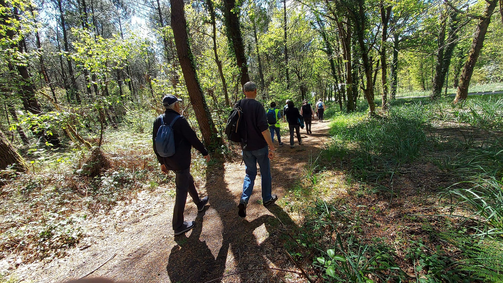 Lire la suite à propos de l’article Marche du 24 Avril 25 – La Forêt du Taillan Médoc – Stade du Palio