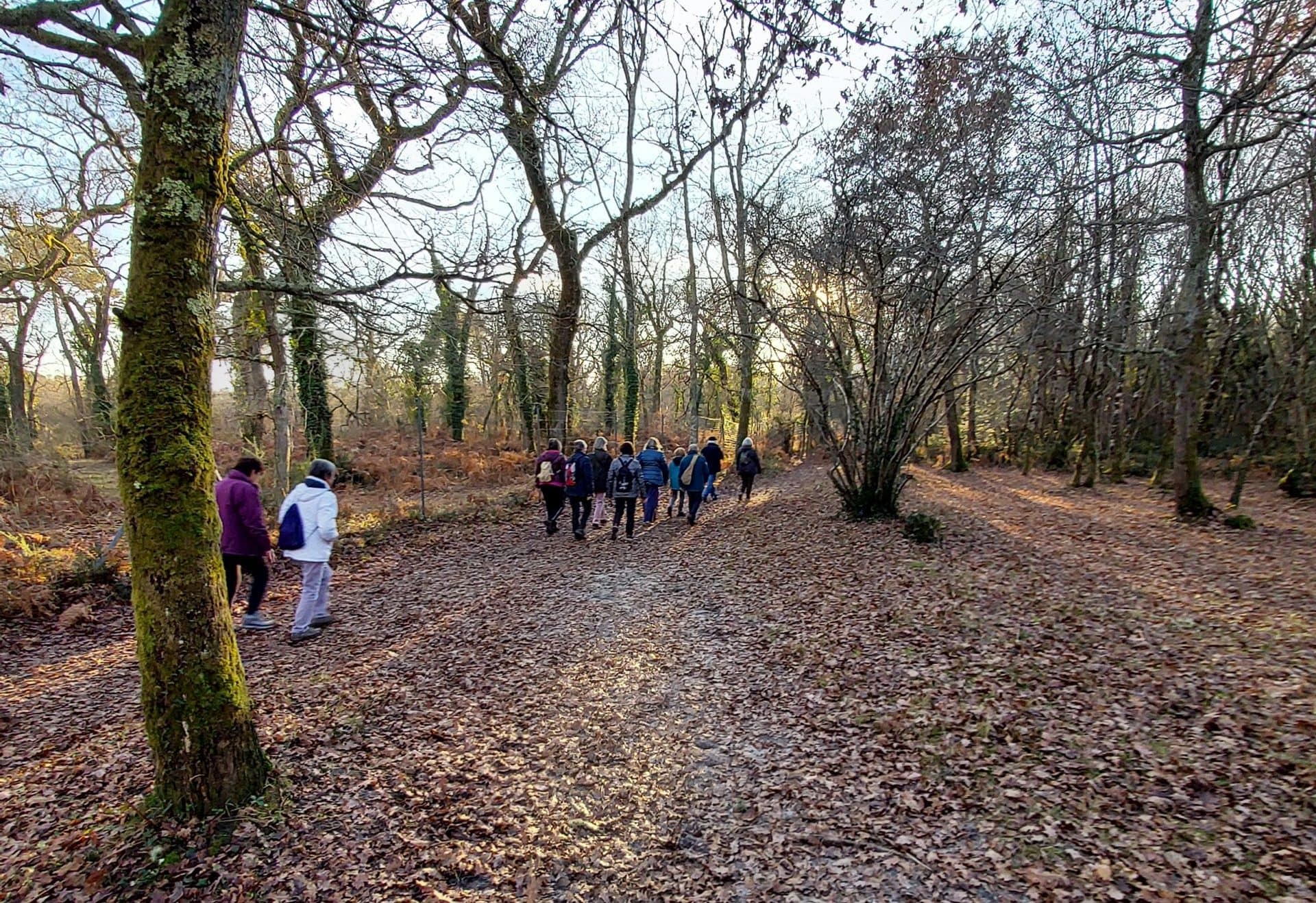 Lire la suite à propos de l’article Marche du 16 Déc. – La maison du Père Noël –  Germignan Le Taillan.