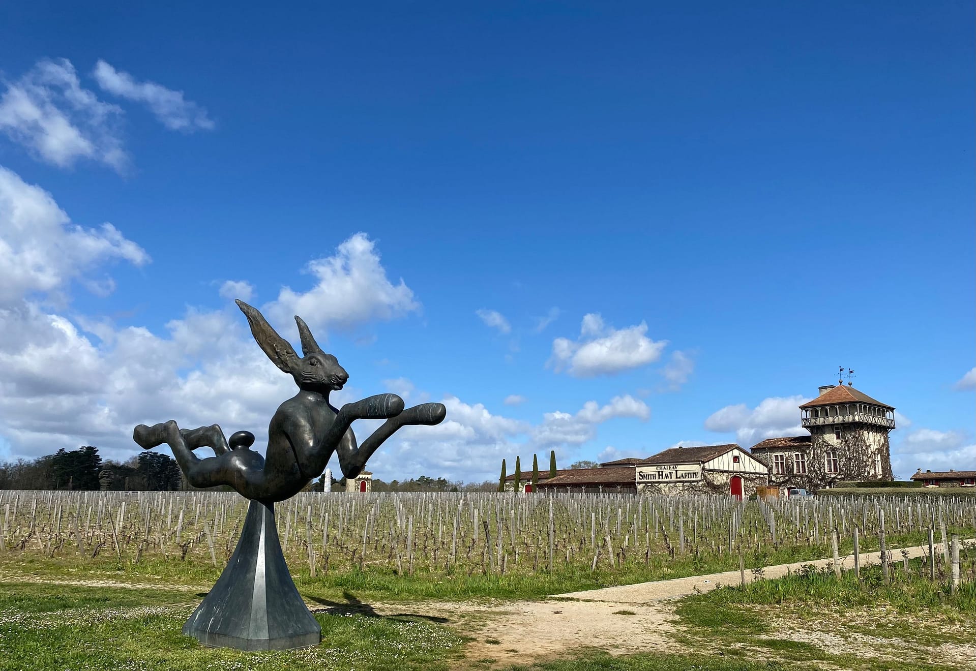 Lire la suite à propos de l’article Retour sur la Marche à la journée du 23 Mars 24 – Châteaux du Pessac Léognan.