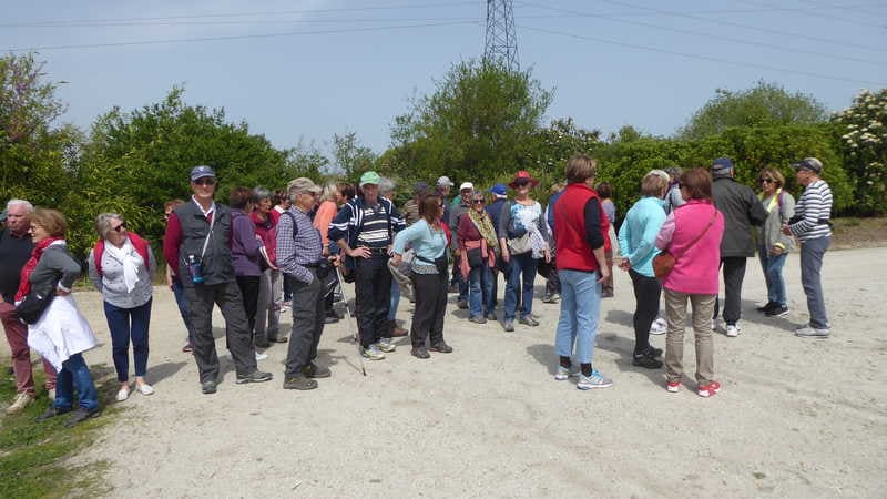 Lire la suite à propos de l’article Parc floral le 18 avril