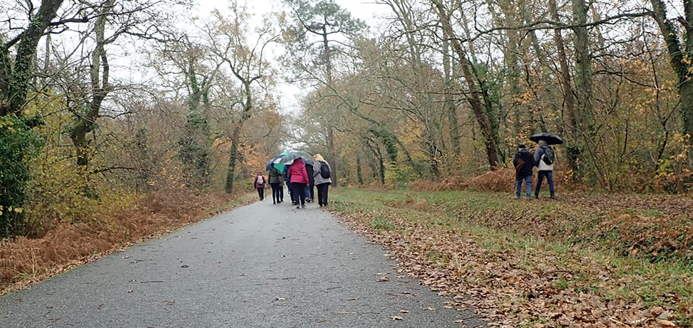 Lire la suite à propos de l’article Marche du 7 Dec. – Gajac – Bois du Déhès