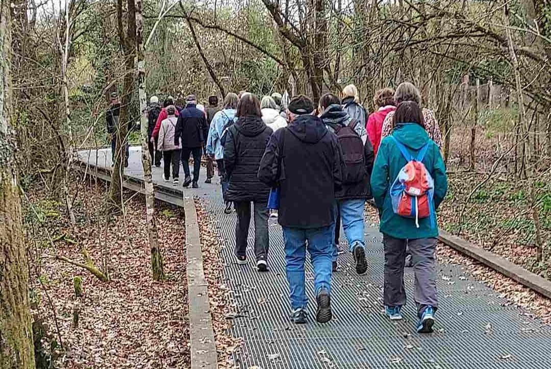Lire la suite à propos de l’article Marche du 27 Fev 25 – Pessac – Parc du Bourgailh