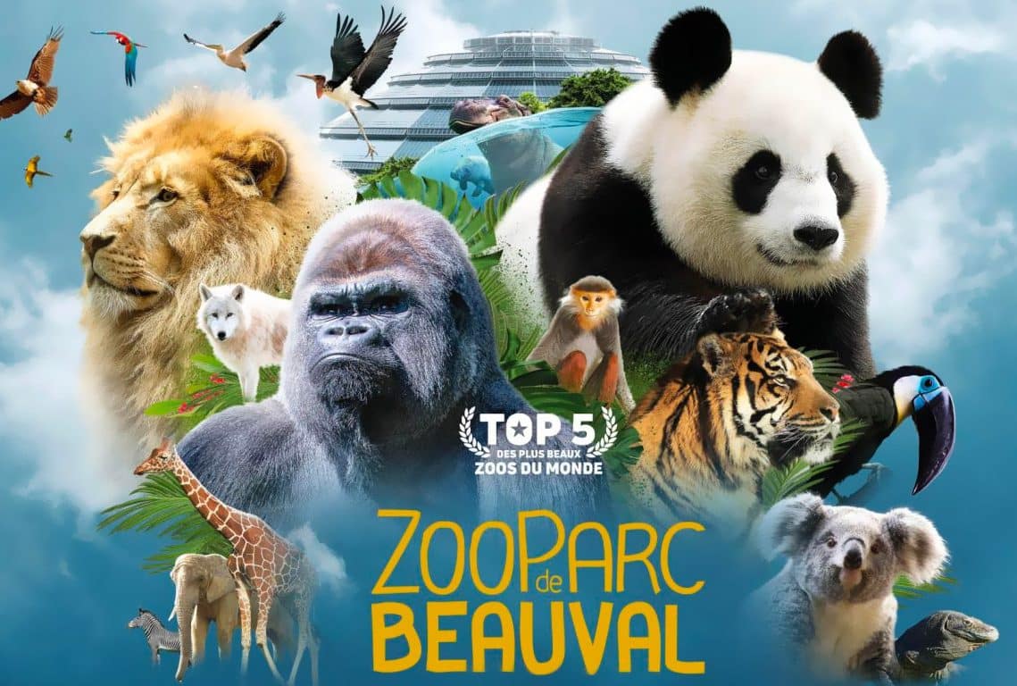 Lire la suite à propos de l’article ZOO Parc de Beauval – Du 02 au 04 Avril 2024