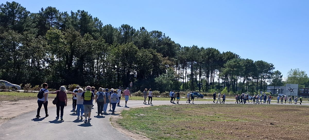 Lire la suite à propos de l’article Marche du 19 Sept. 24 – Les Landes de Saint-Aubin de Médoc