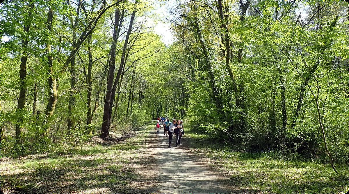 Lire la suite à propos de l’article Marche du 20 Avril – Bois du Taillan