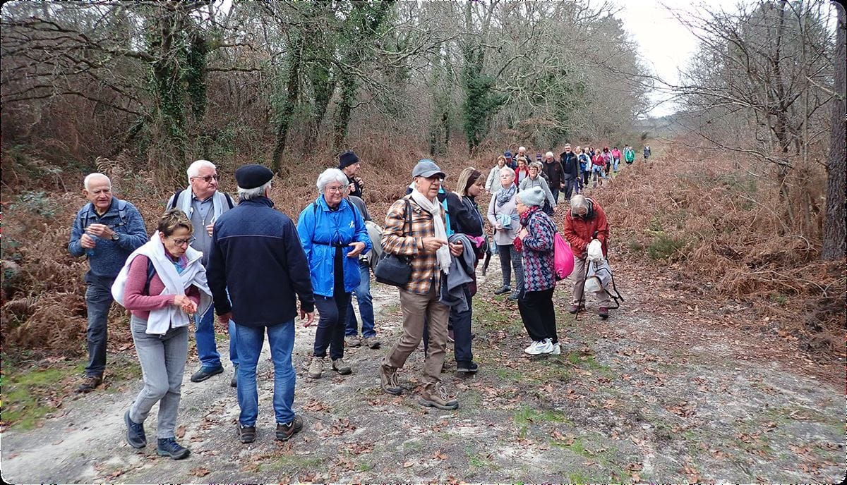 marche-taillan-12