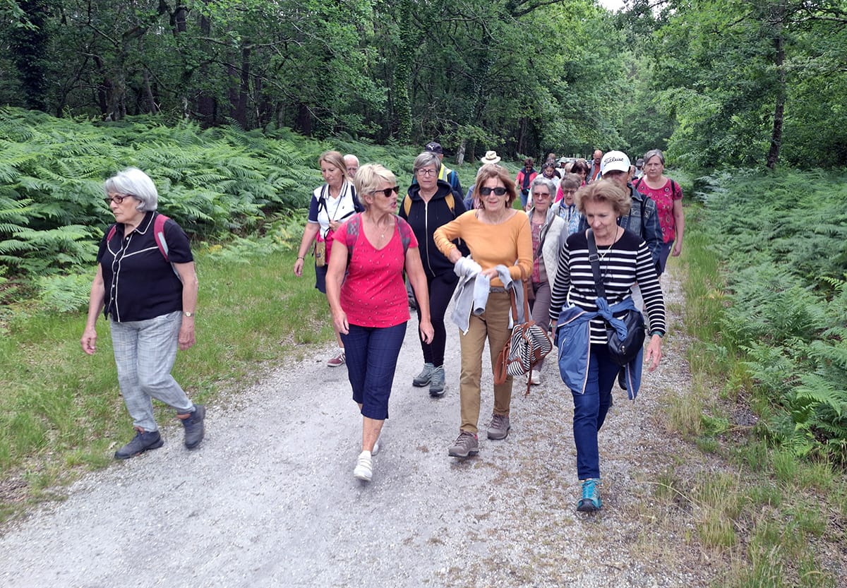 Lire la suite à propos de l’article Marche du jeudi 5 juin 2025 – Issac les lagunes