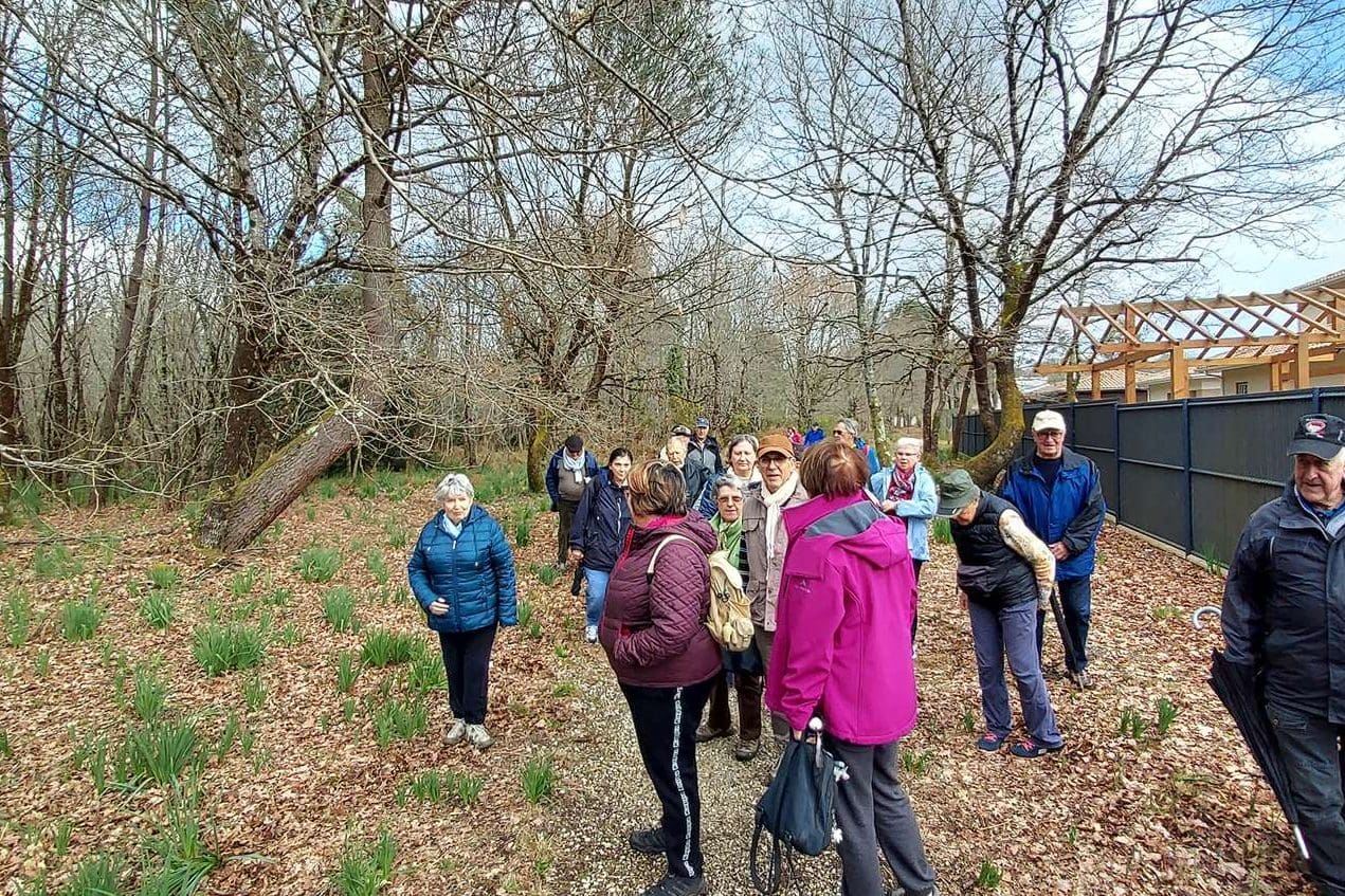 Lire la suite à propos de l’article Marche du 10 Mars 22 – Les Bois du Taillan –