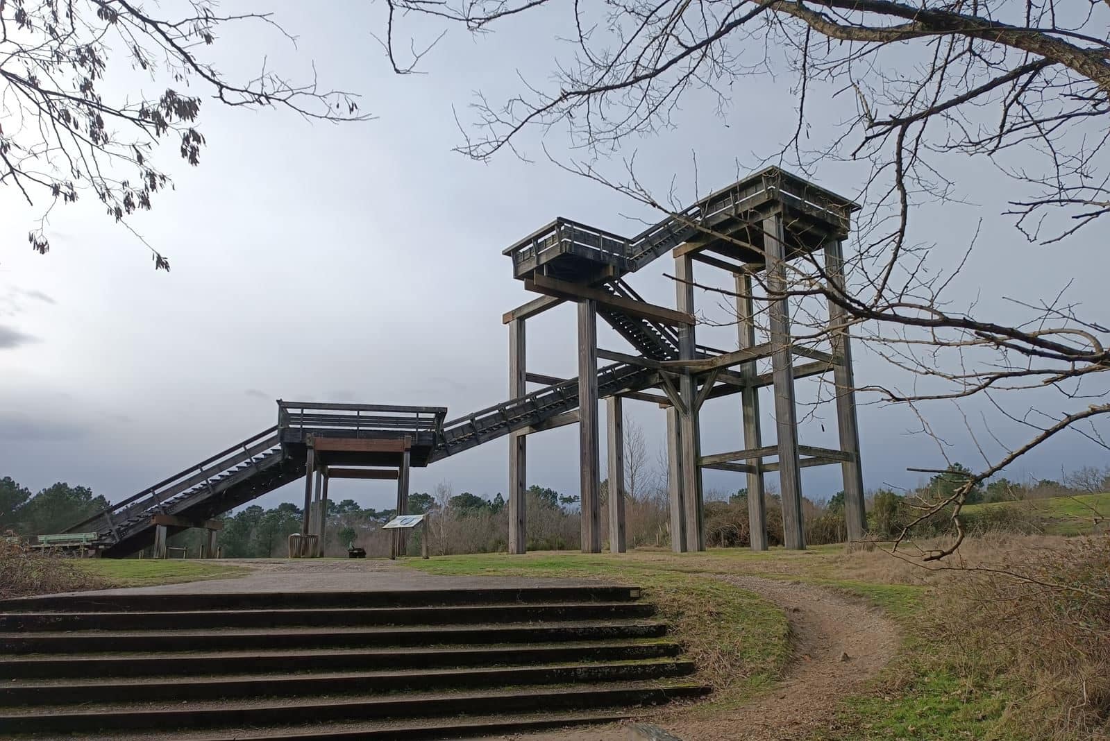 Lire la suite à propos de l’article Marche du 8 Fev. – Pessac – Forêt du Bourgailh