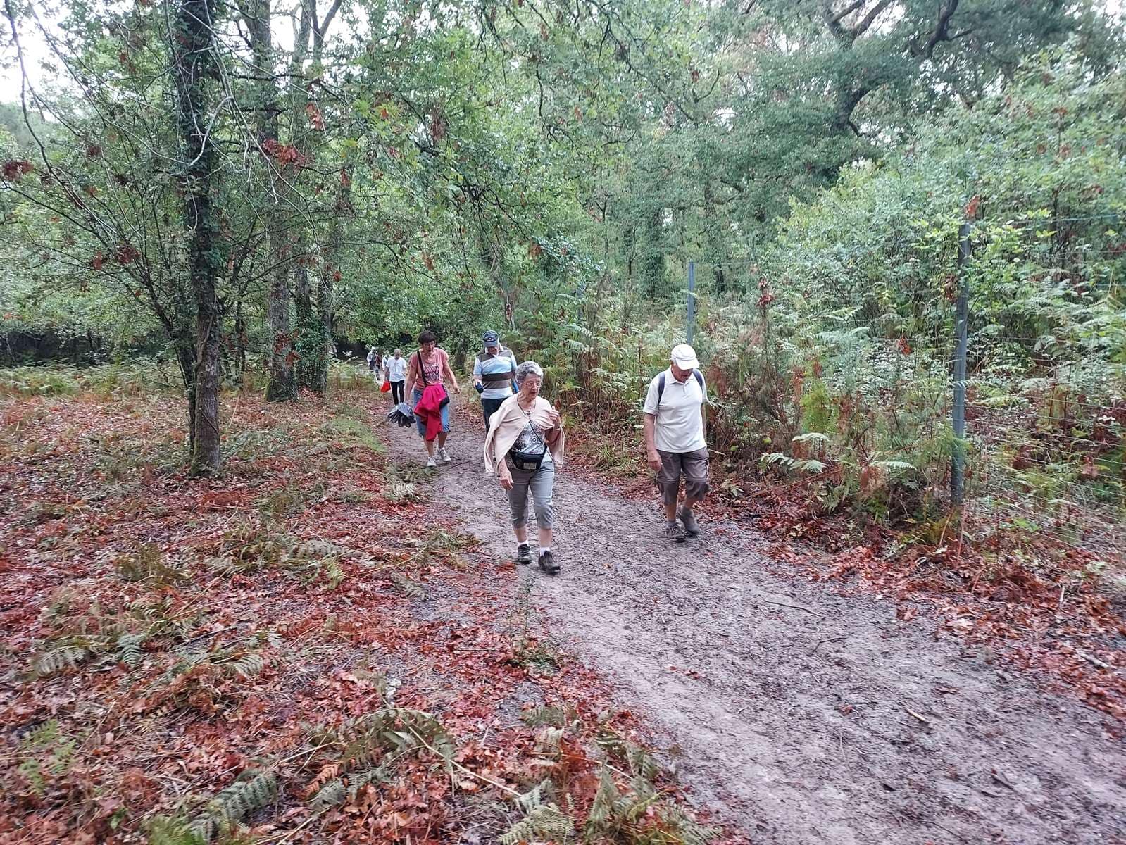 Lire la suite à propos de l’article Marche du 8 Sept. – Germignan – Bois des sources