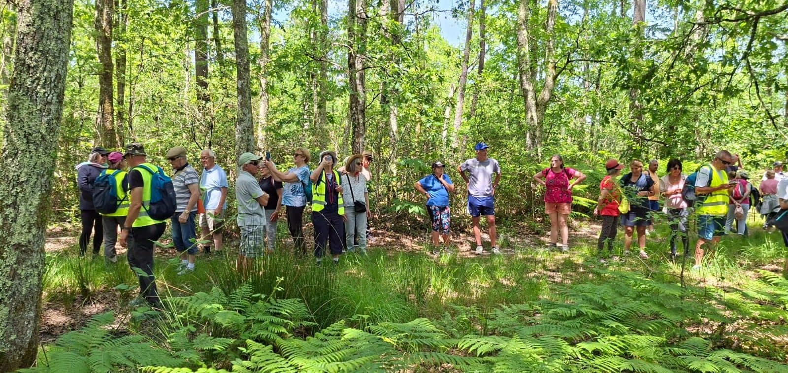 Lire la suite à propos de l’article Marche du Mercredi 28 Mai – Issac de la Lande au ruisseau …