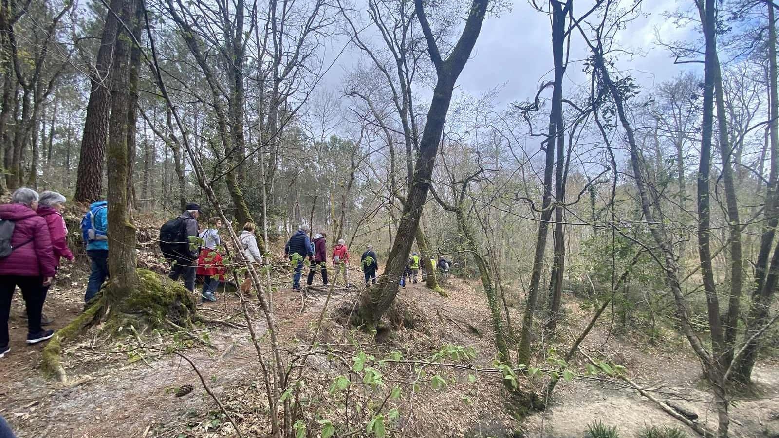 Lire la suite à propos de l’article Marche du 2 Avril 26 – St Médard en Jalles – de la Jalle au Ruisseau du Guitard