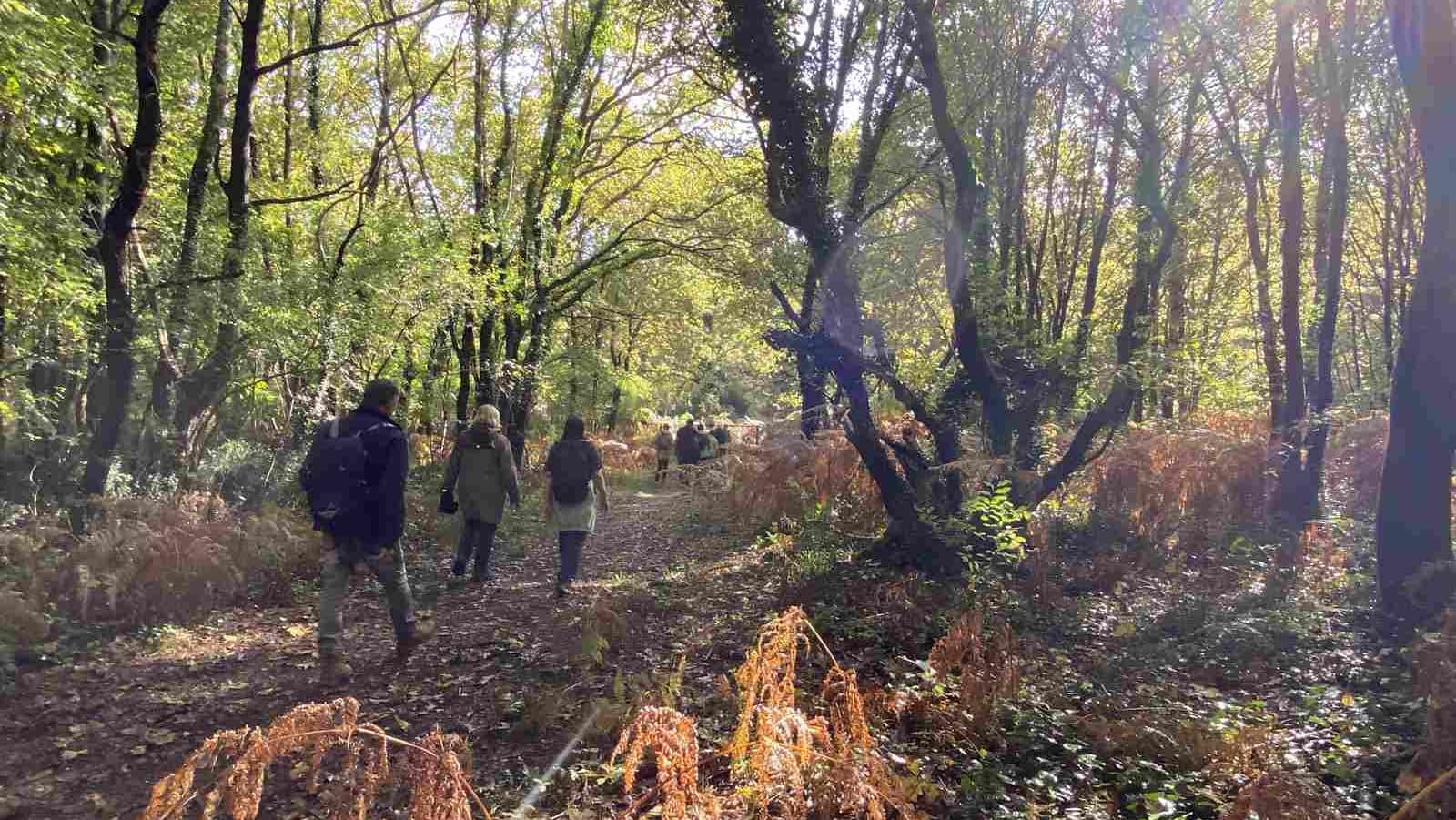 Lire la suite à propos de l’article Marche du 26 Sept. 24 – Entre St-Aubin et le Bois du Taillan