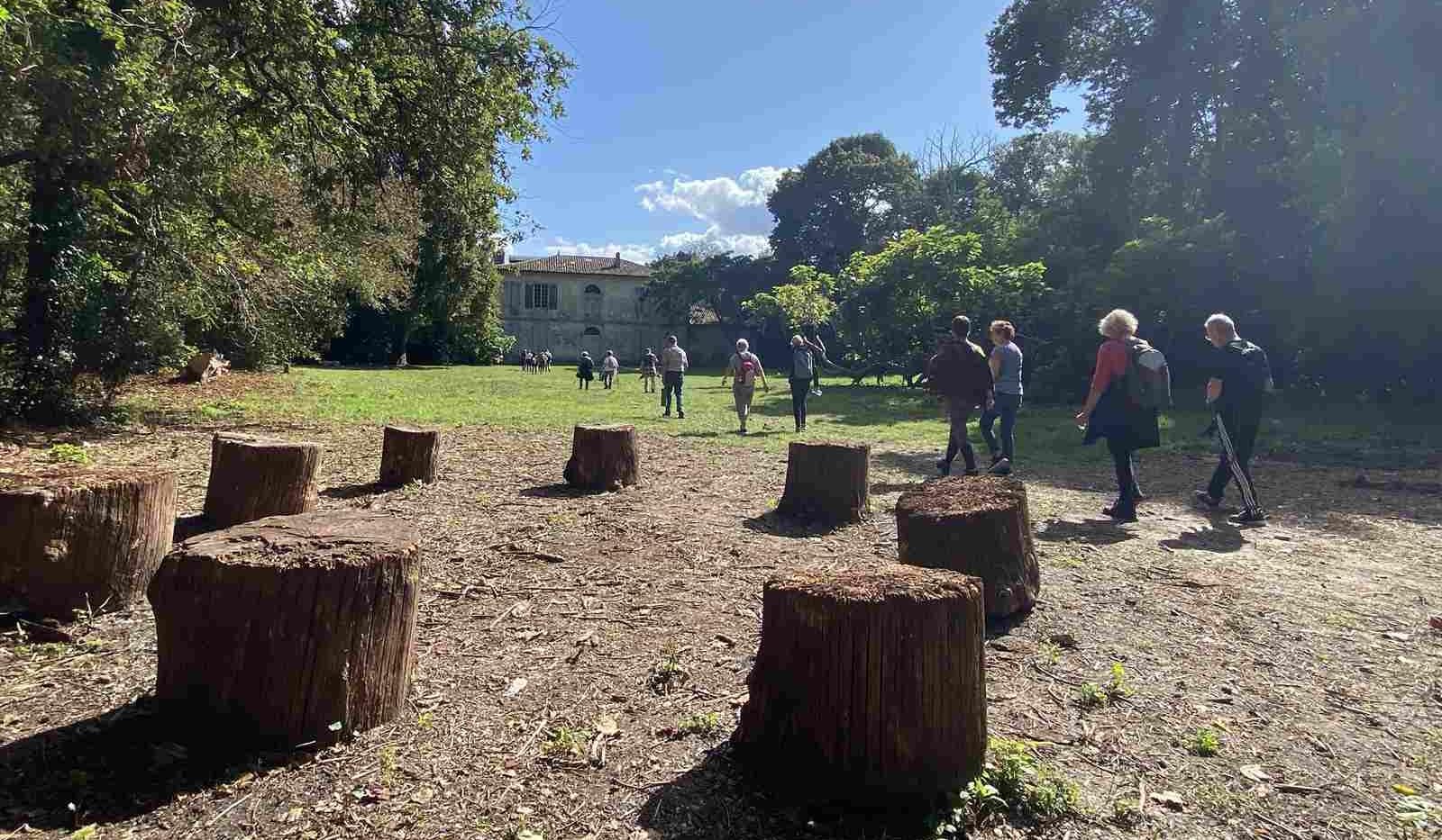 Lire la suite à propos de l’article Marche du 12 Sept 24 – du Bourdieu aux Bois des Sources