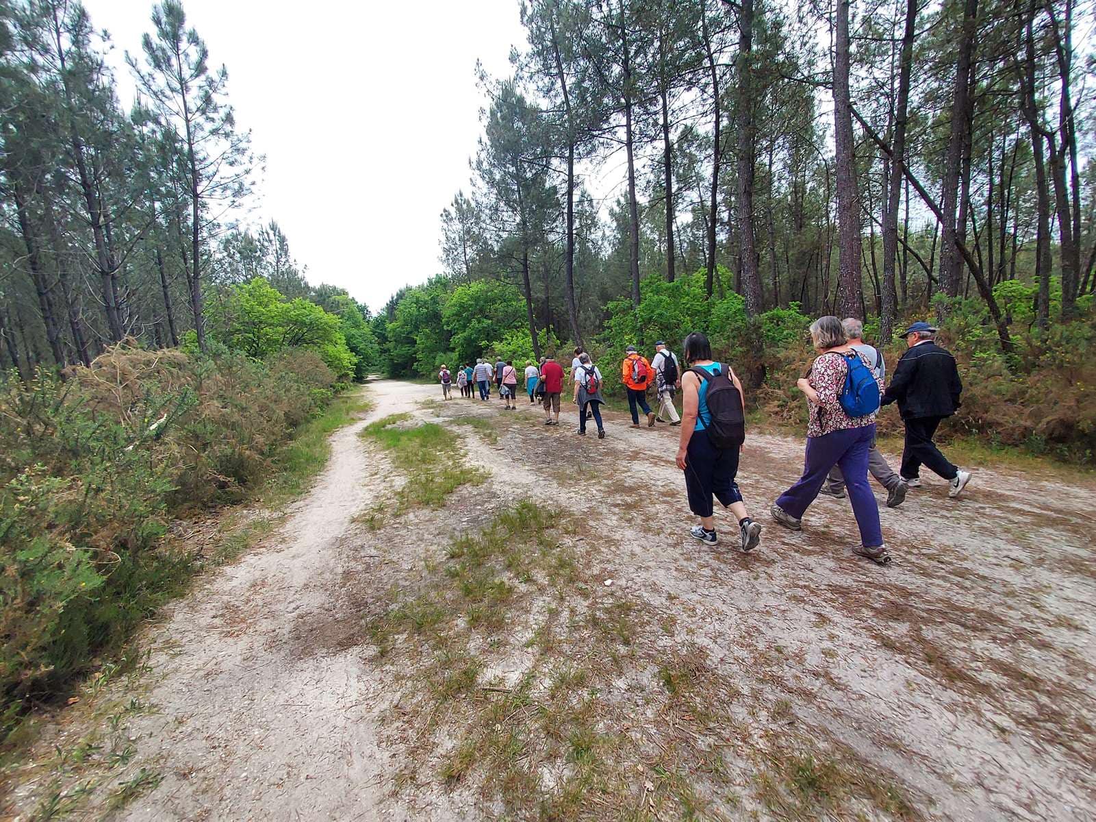 Lire la suite à propos de l’article Marche du 12 Mai – Moulin de Bonneau – Ruisseau du Guitard.