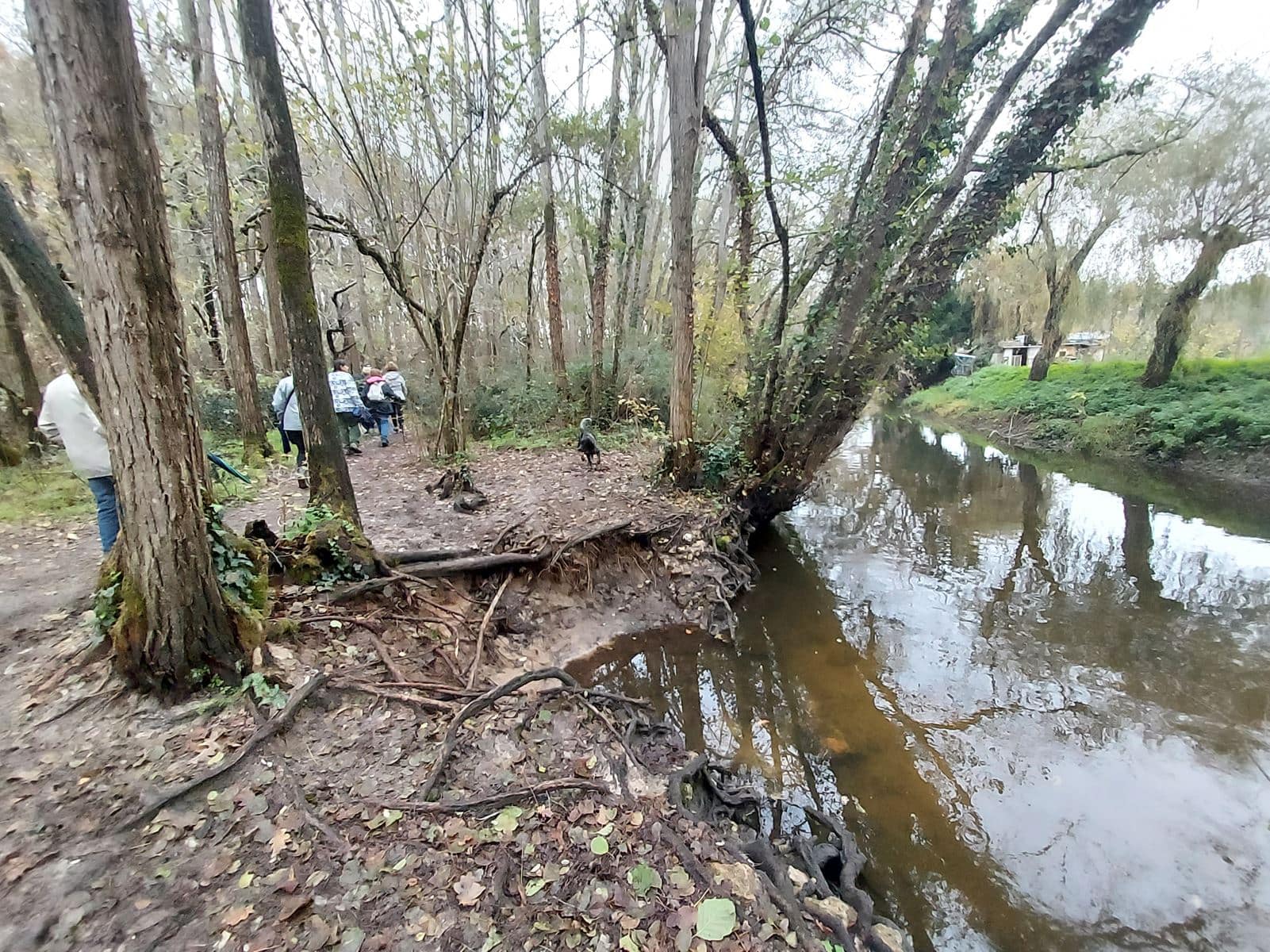 Lire la suite à propos de l’article Marche du 24 Nov. 22 – Bois du Déhès et autres