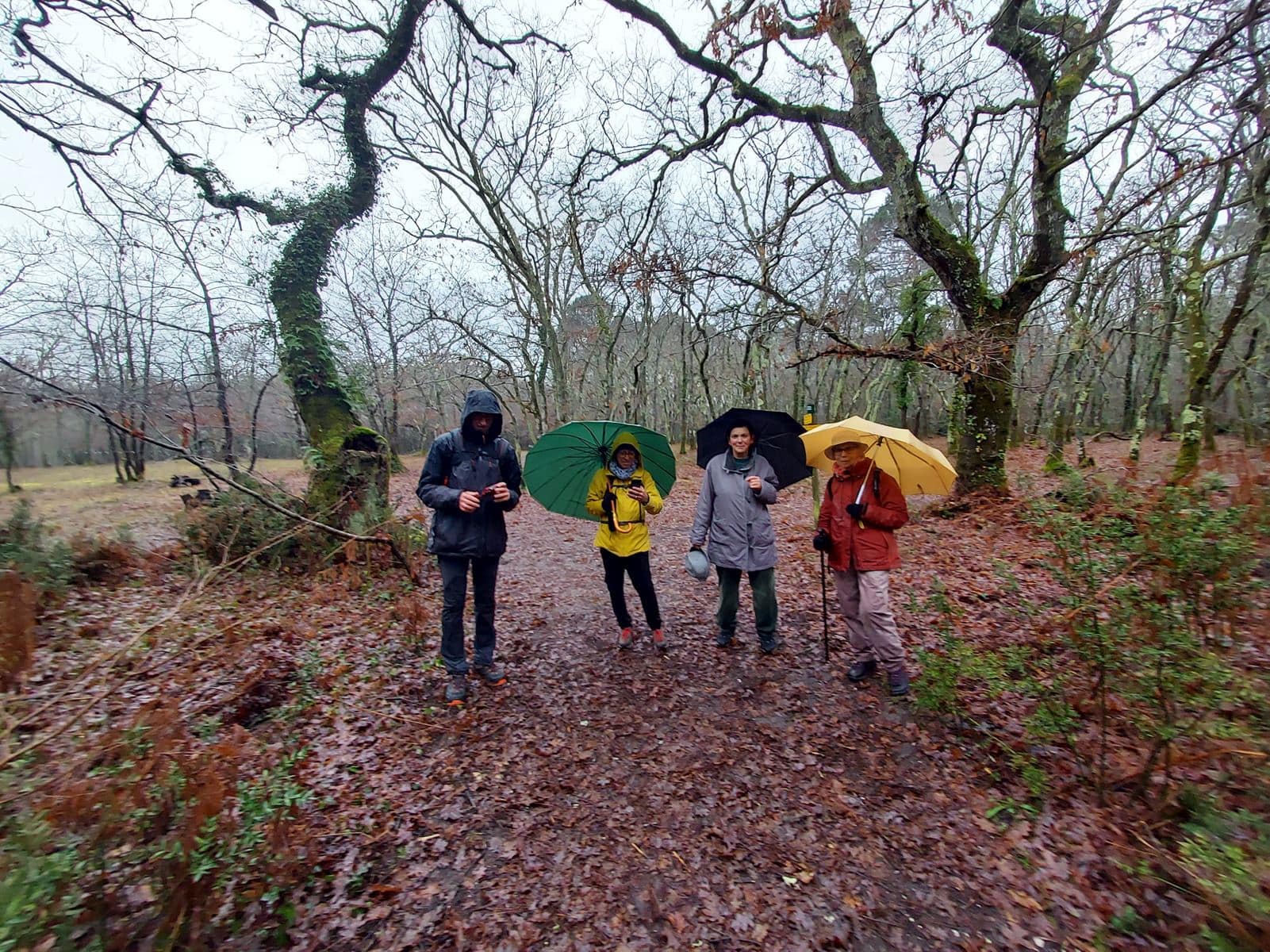 Lire la suite à propos de l’article Marche du 19 Janv. – Bois de Germignan – Bois des Sources