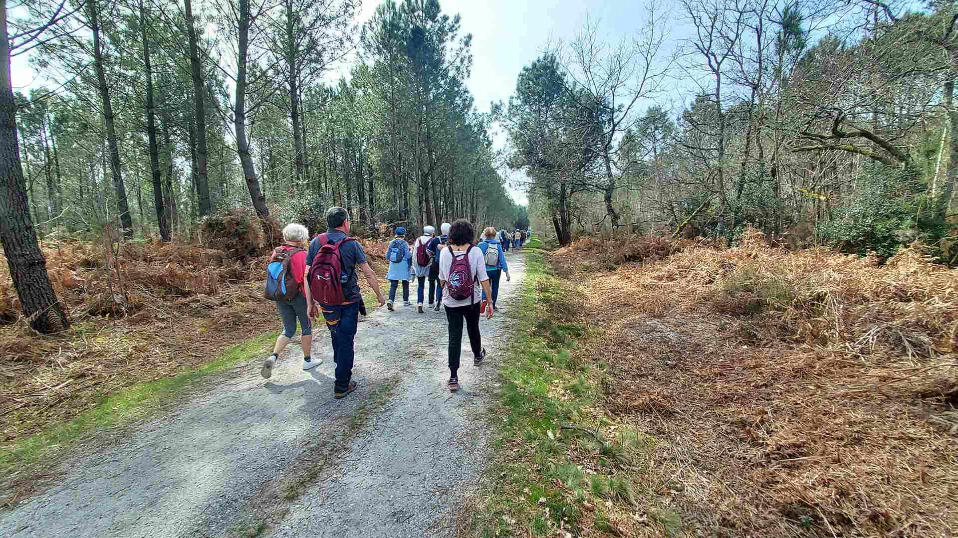 Lire la suite à propos de l’article Marche du 21 Mars 24 – St Médard en Jalles – Issac – Circuits des Lagunes