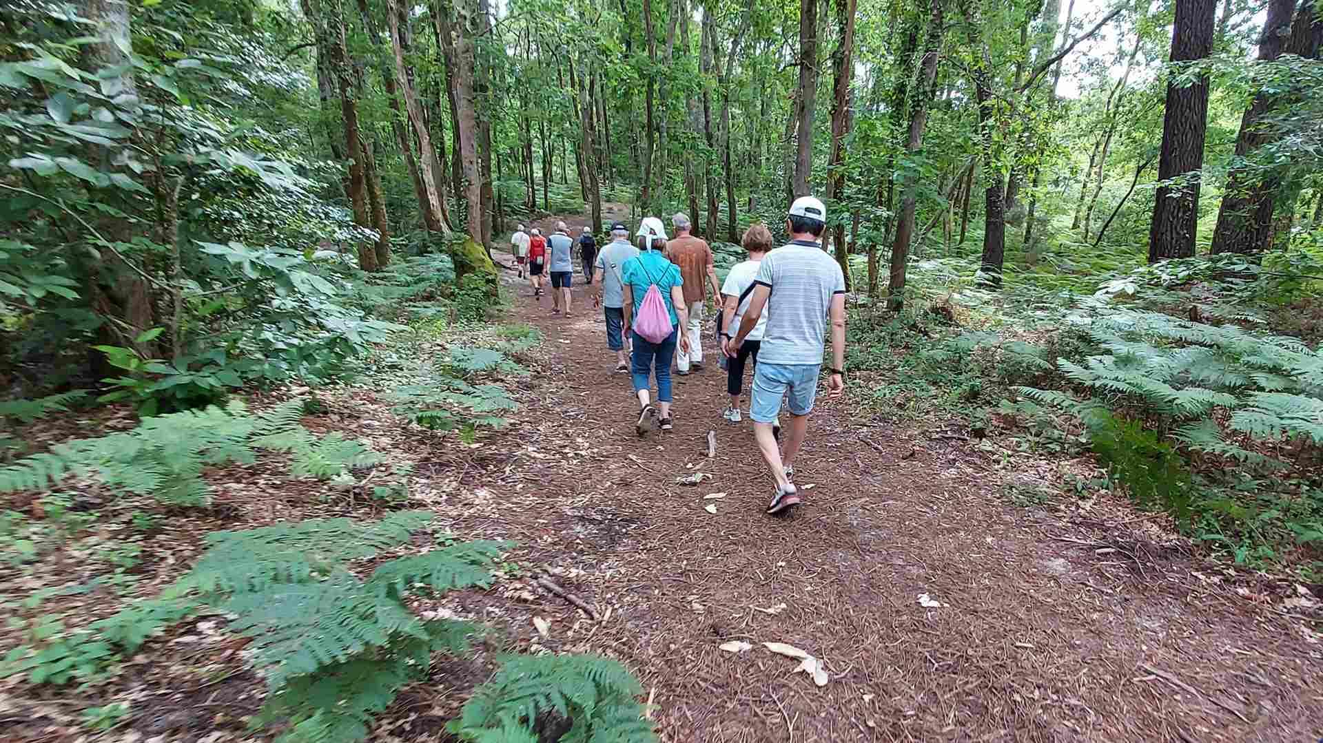 Lire la suite à propos de l’article Marche d&rsquo;entretien du 13 Juin – Germignan – Forêt du Taillan.