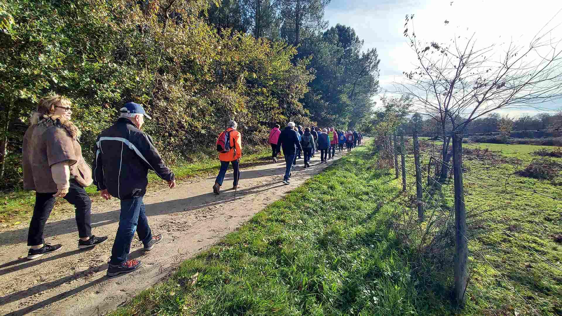 Lire la suite à propos de l’article Marche du 14 Nov. – Saint Médard en Jalles – Magudas