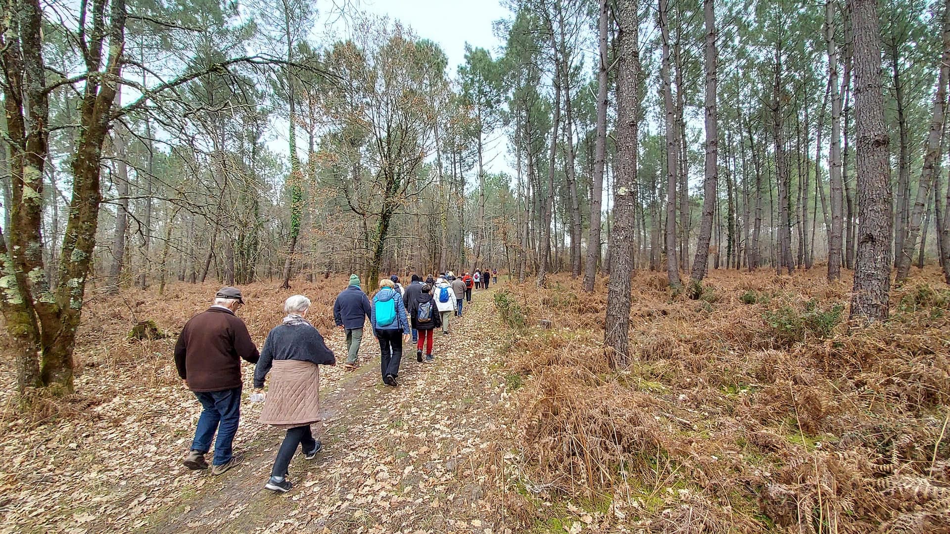 Lire la suite à propos de l’article Marche du 2 Mars – Saint Aubin de Médoc – Circuit de la Lande.