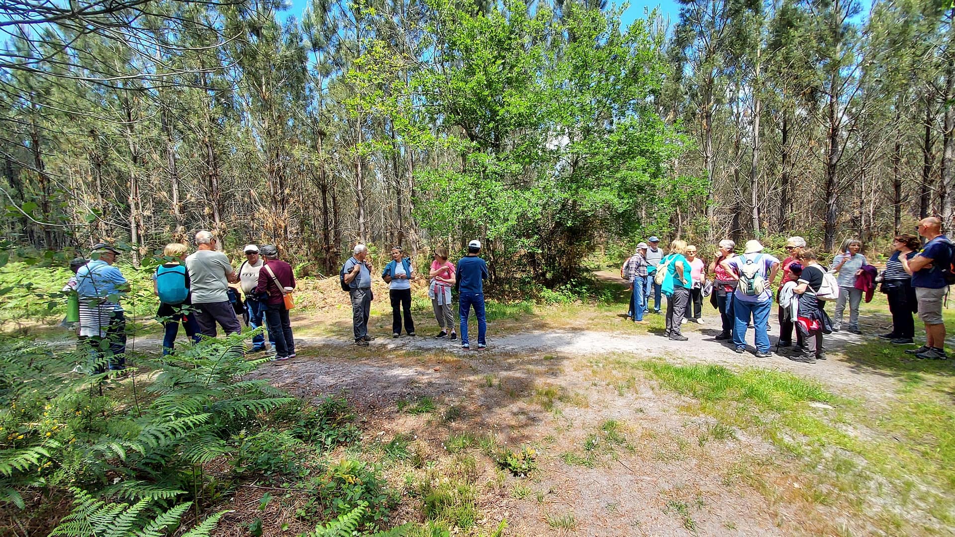 Lire la suite à propos de l’article Marche du 25 Mai – Saint Aubin de Médoc
