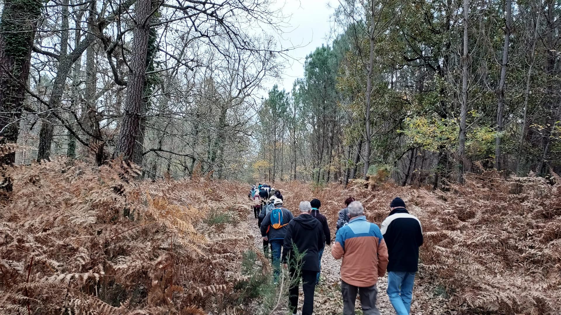 Lire la suite à propos de l’article Marche du 23 Nov. 23 – Magudas