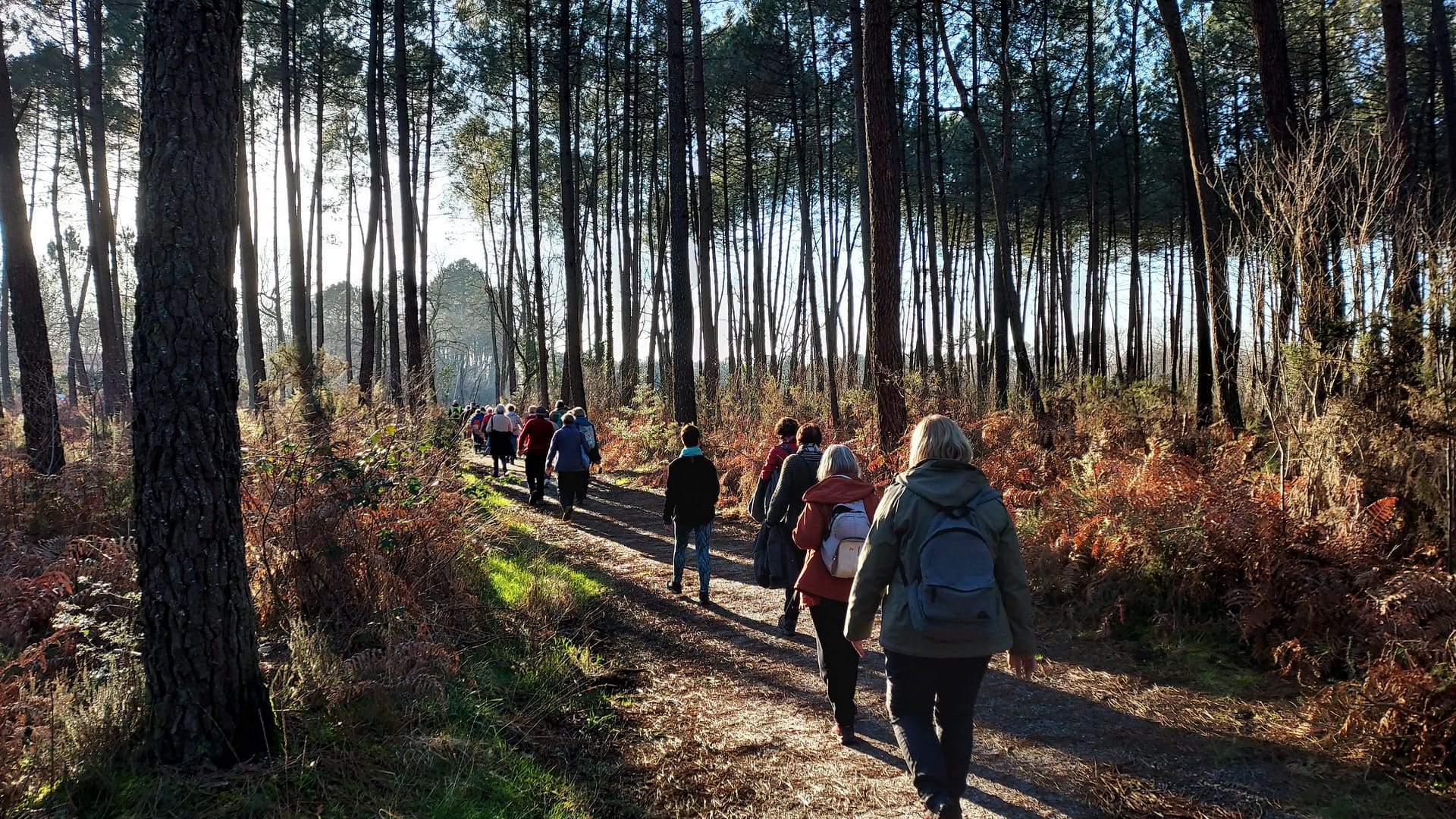 Lire la suite à propos de l’article Marche du 25 Janv. – St Médard en Jalles – Issac Sud