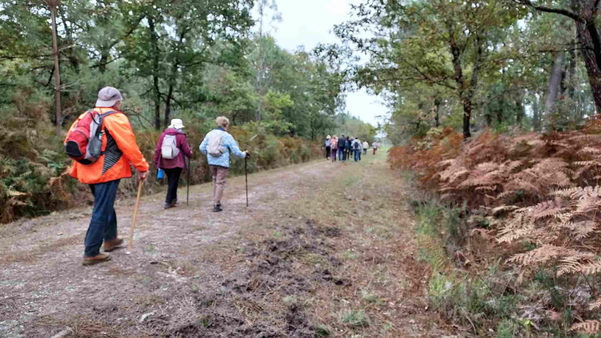 Lire la suite à propos de l’article Marche du 3 Oct 24 – Salaunes – Étang du Boustéra