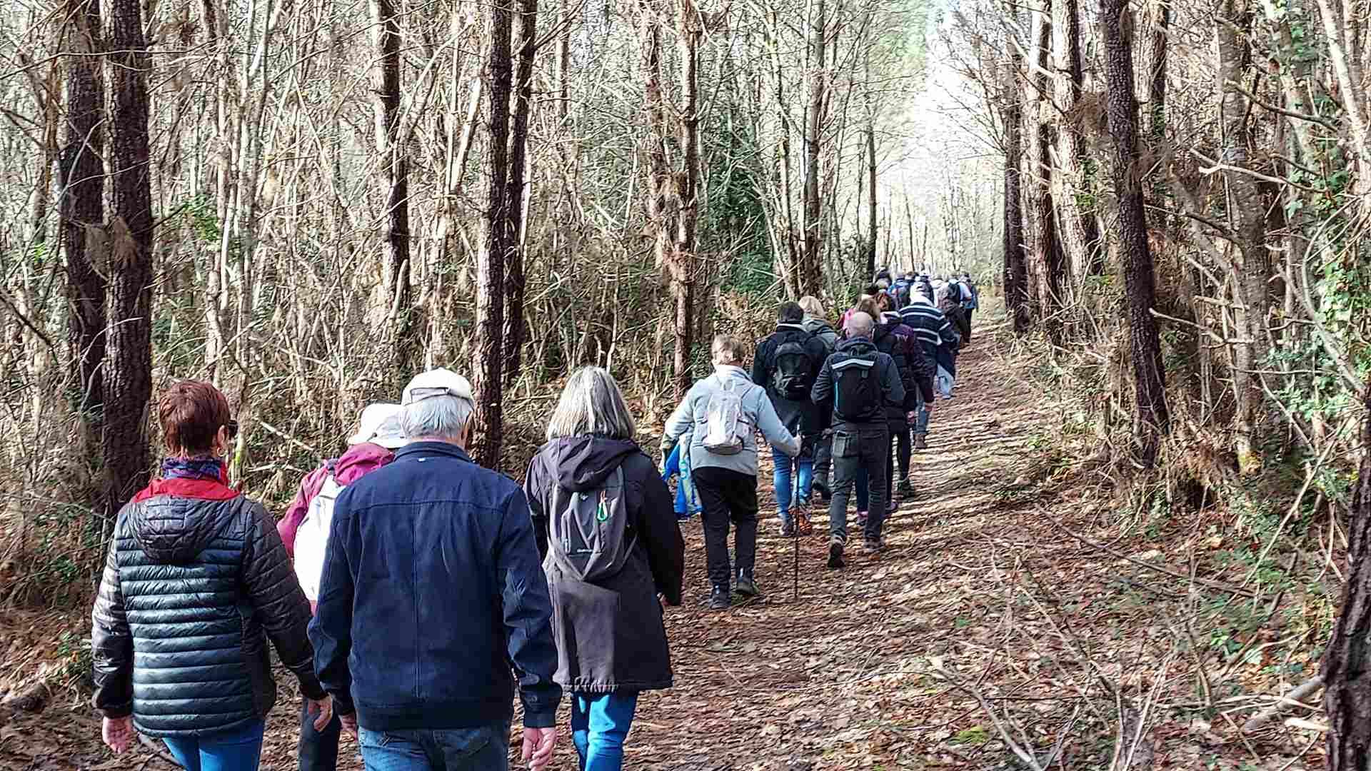 Lire la suite à propos de l’article Marche du 30 Janvier – Promenade en forêt du Taillan