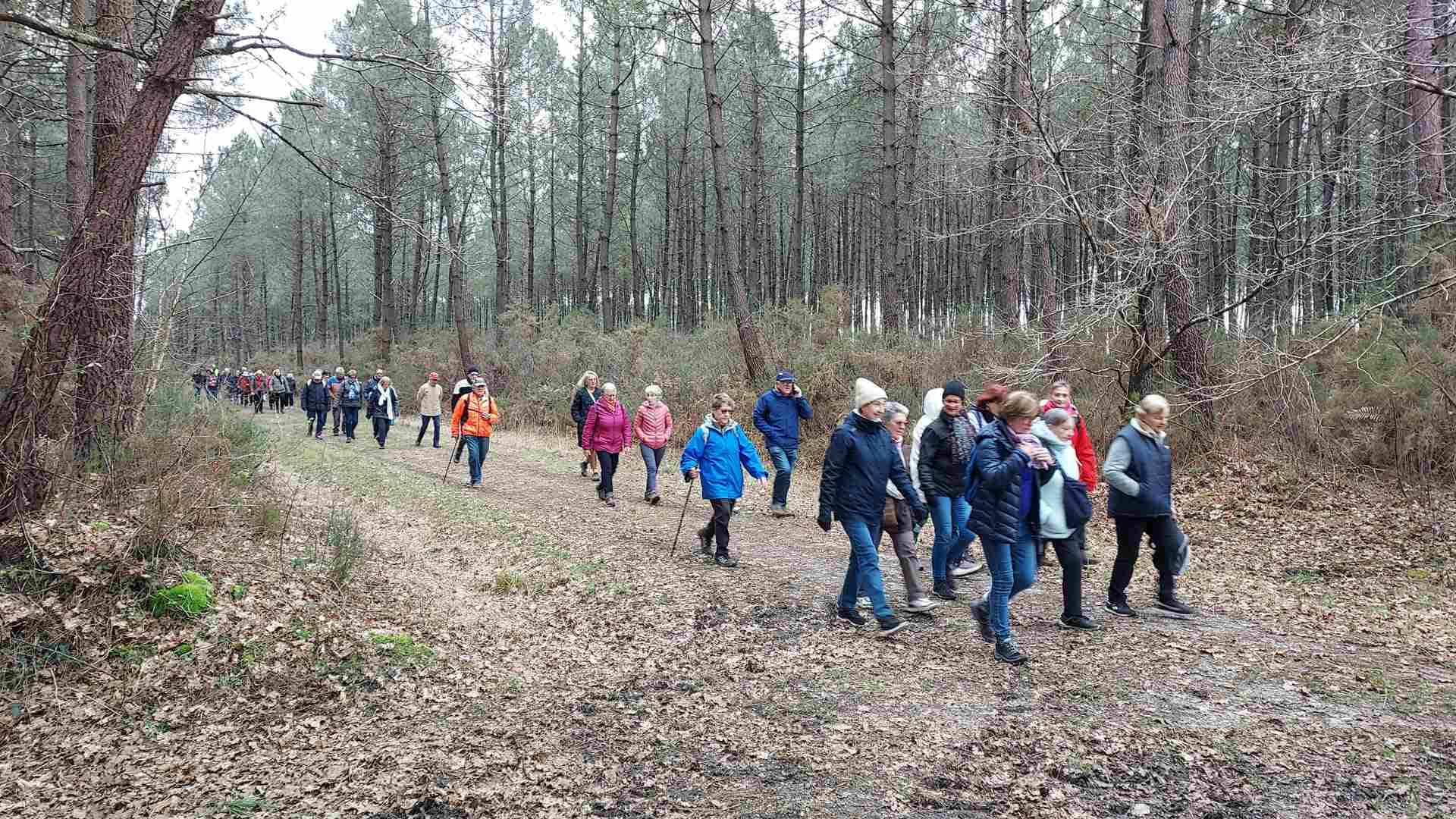 Lire la suite à propos de l’article Marche du 6 Fev. 25 – Les landes de St Aubin de Médoc.