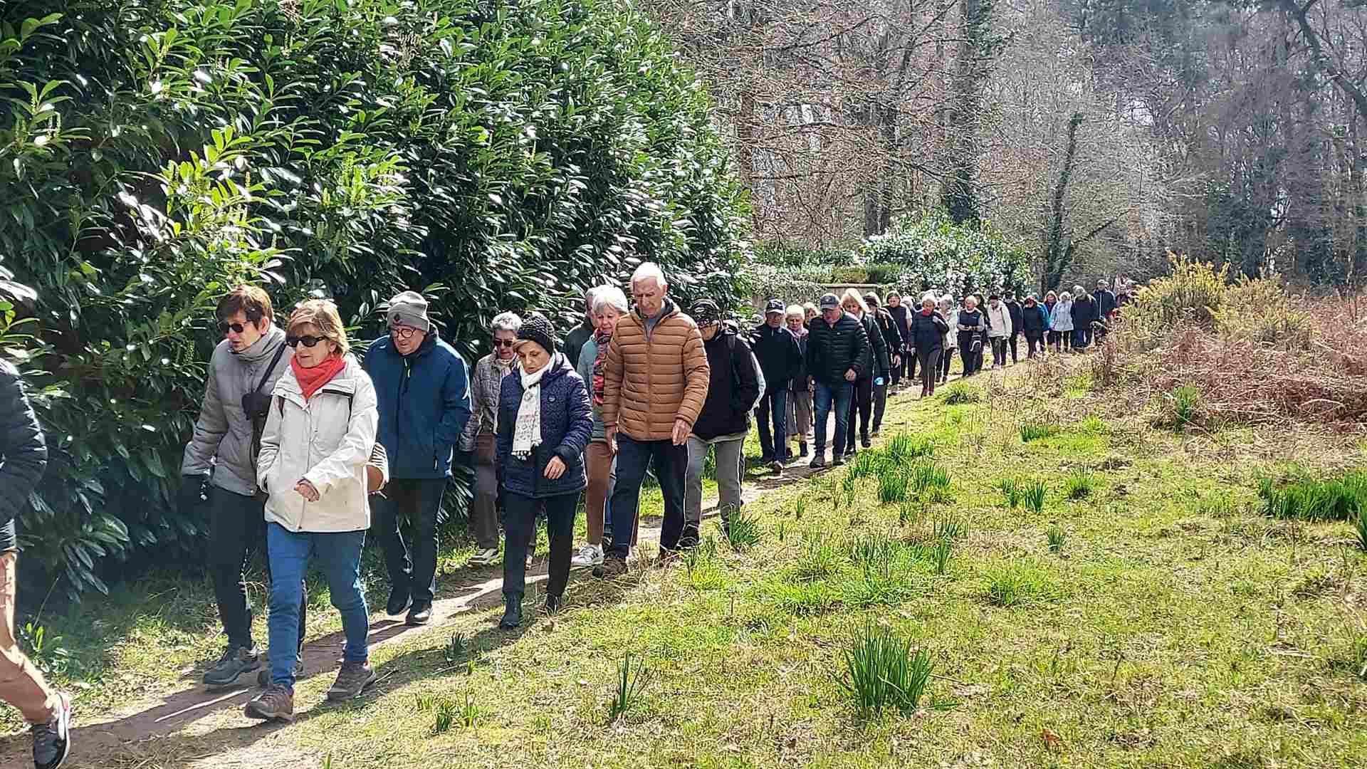 Lire la suite à propos de l’article Marche du 13 Mars – St Méd en Jalles – Germignan – Forêt du Taillan