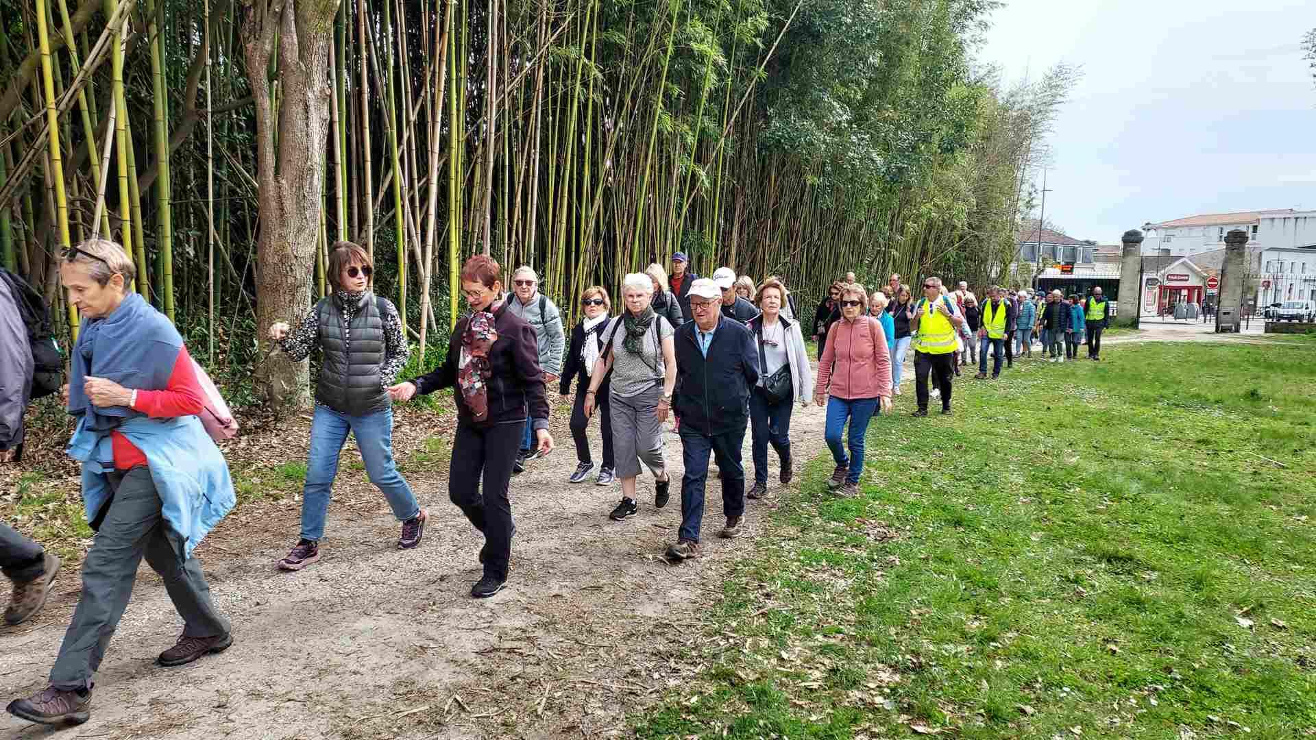 Lire la suite à propos de l’article Marche du 20 Mars 25 – Par les bois du Bourdieu, de Germignan, et des sources.