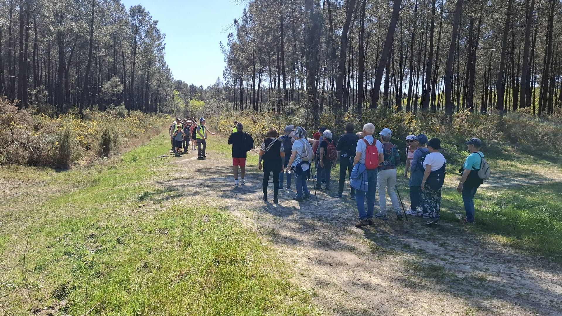 Lire la suite à propos de l’article Marche du 10 Avril 25 – St Aubin de Médoc – Les Landes – Villepreux