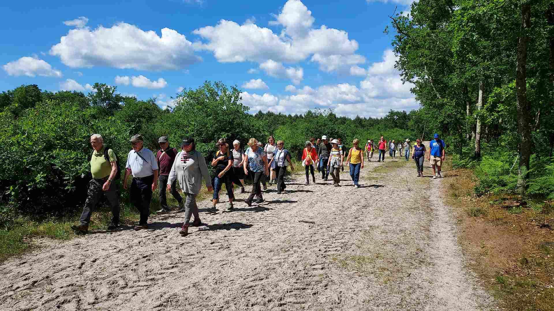 Lire la suite à propos de l’article Marche du 22 Mai 25 – Le Taillan Médoc – St Aubin du Médoc