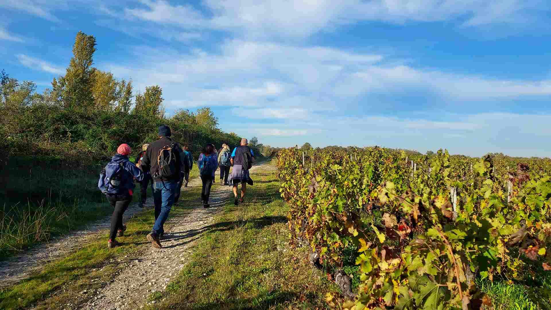 Lire la suite à propos de l’article Marche à la journée du 18 Oct. 25 – Avensan