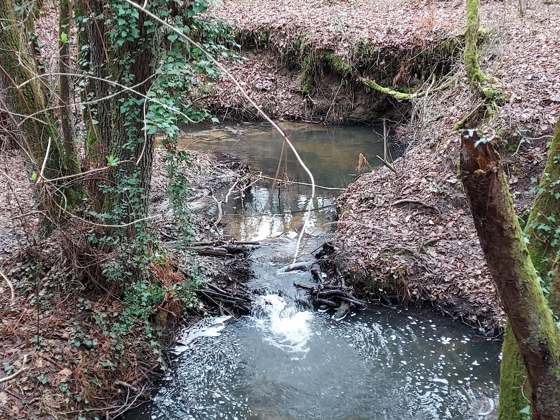 Lire la suite à propos de l’article Ruisseau du Guitard / Moulin de Bonneau – Marche du 3 Fèv.