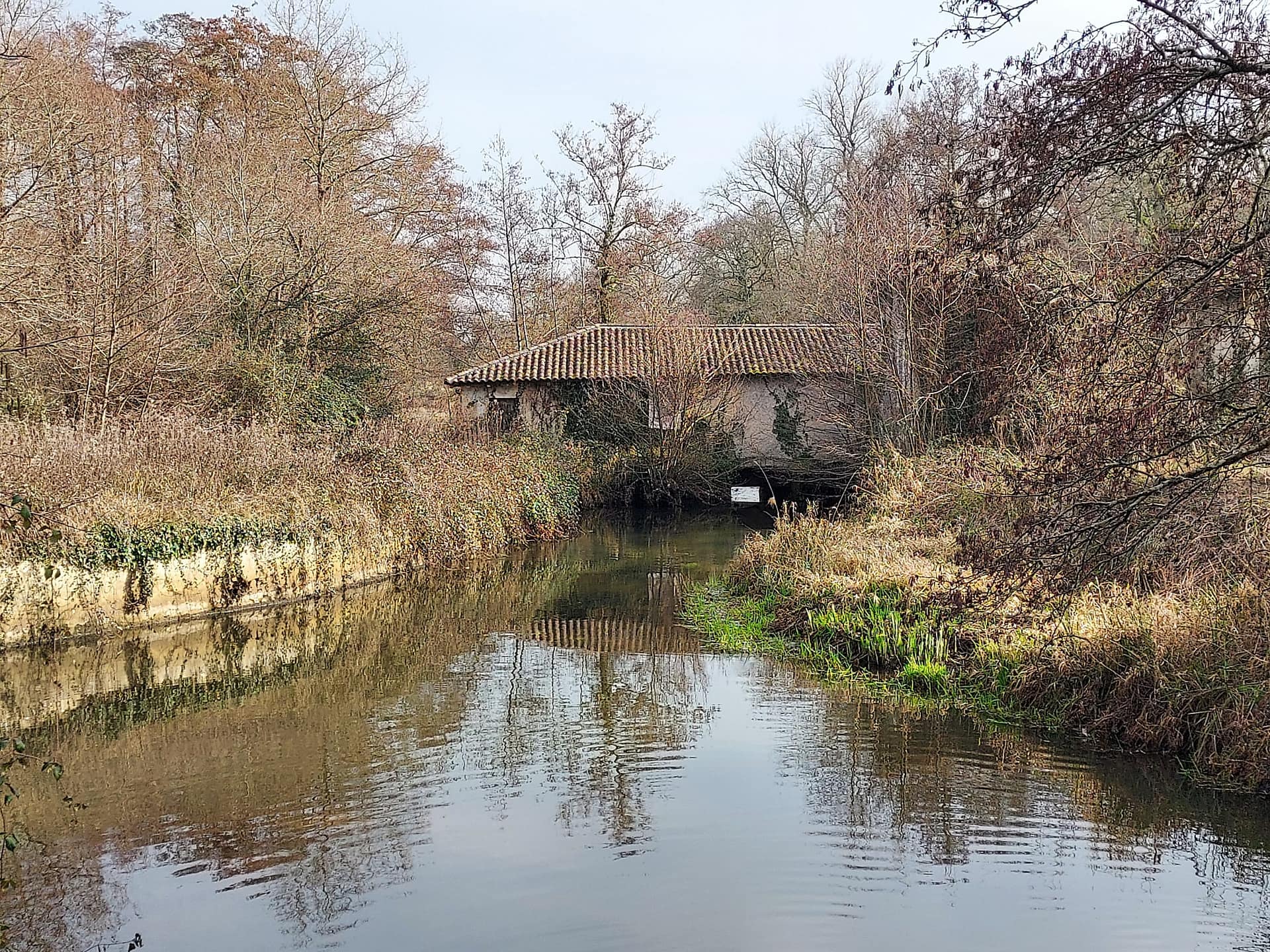 Lire la suite à propos de l’article Bois du Déhès – Moulin de Moulina. Marche du 10 Fév. 22.