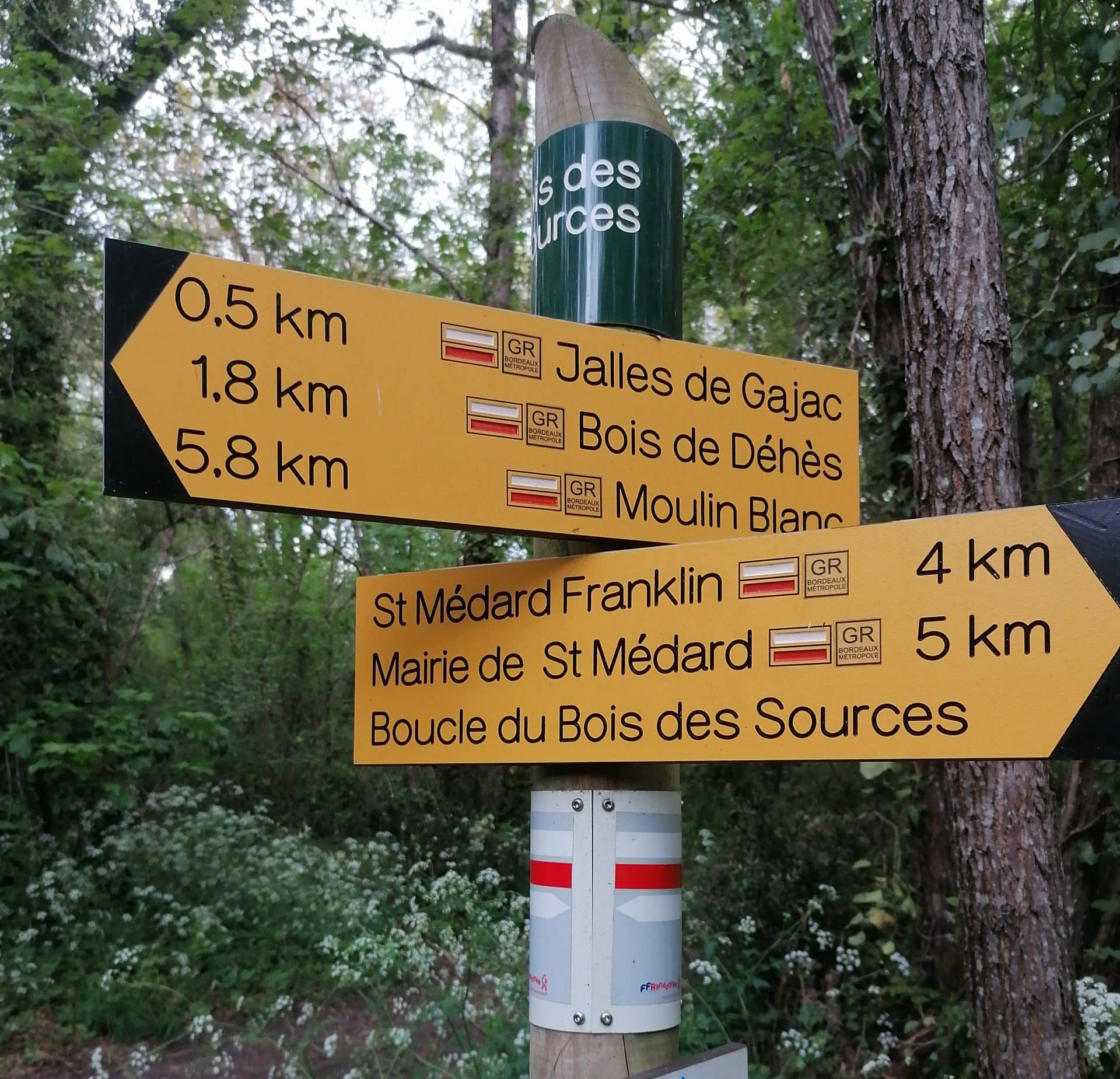 Lire la suite à propos de l’article Marche du 2 Juin – Boucle Saint Médard – Bois du Bourdieu – Bois des Sources