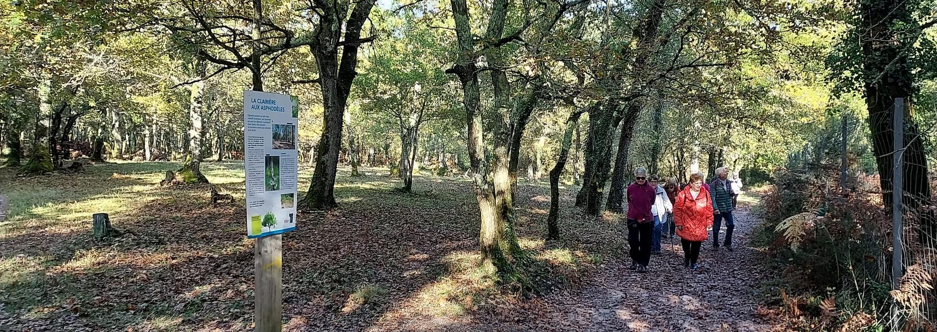 Lire la suite à propos de l’article Bois des sources