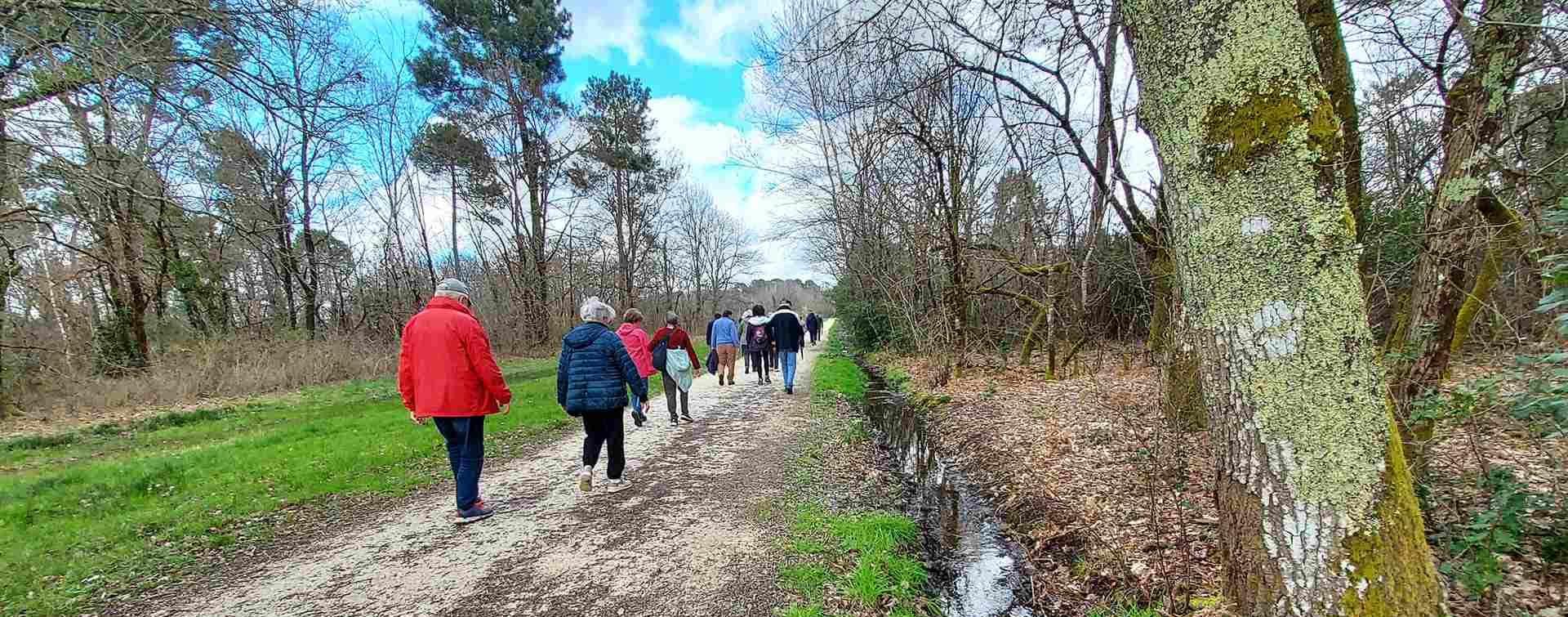 Lire la suite à propos de l’article Marche 29 Fev. 24 – Boucle de Corbiac