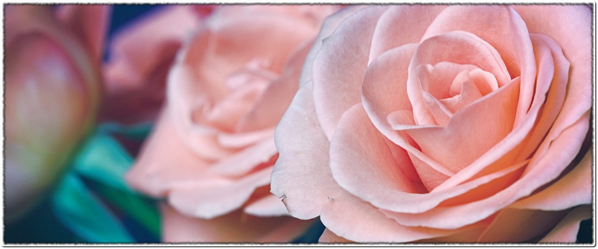 Lire la suite à propos de l’article Lexique de l&rsquo;atelier floral